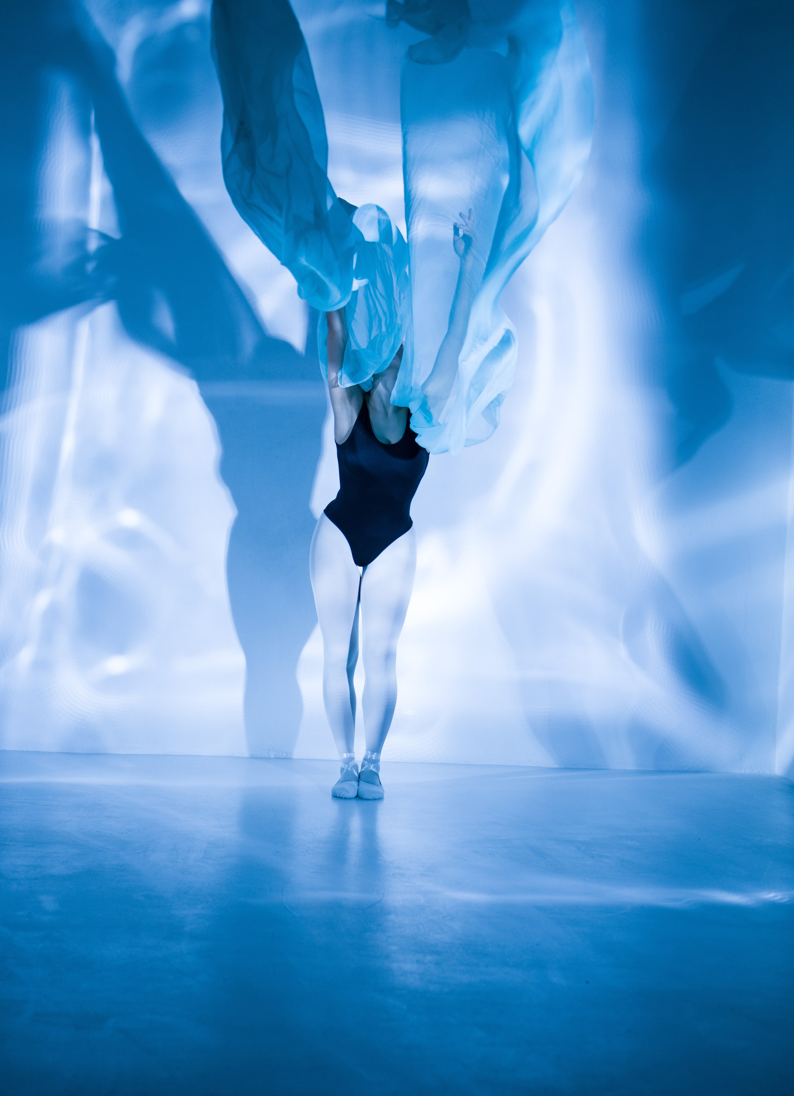 Лилия. Художественная фотография