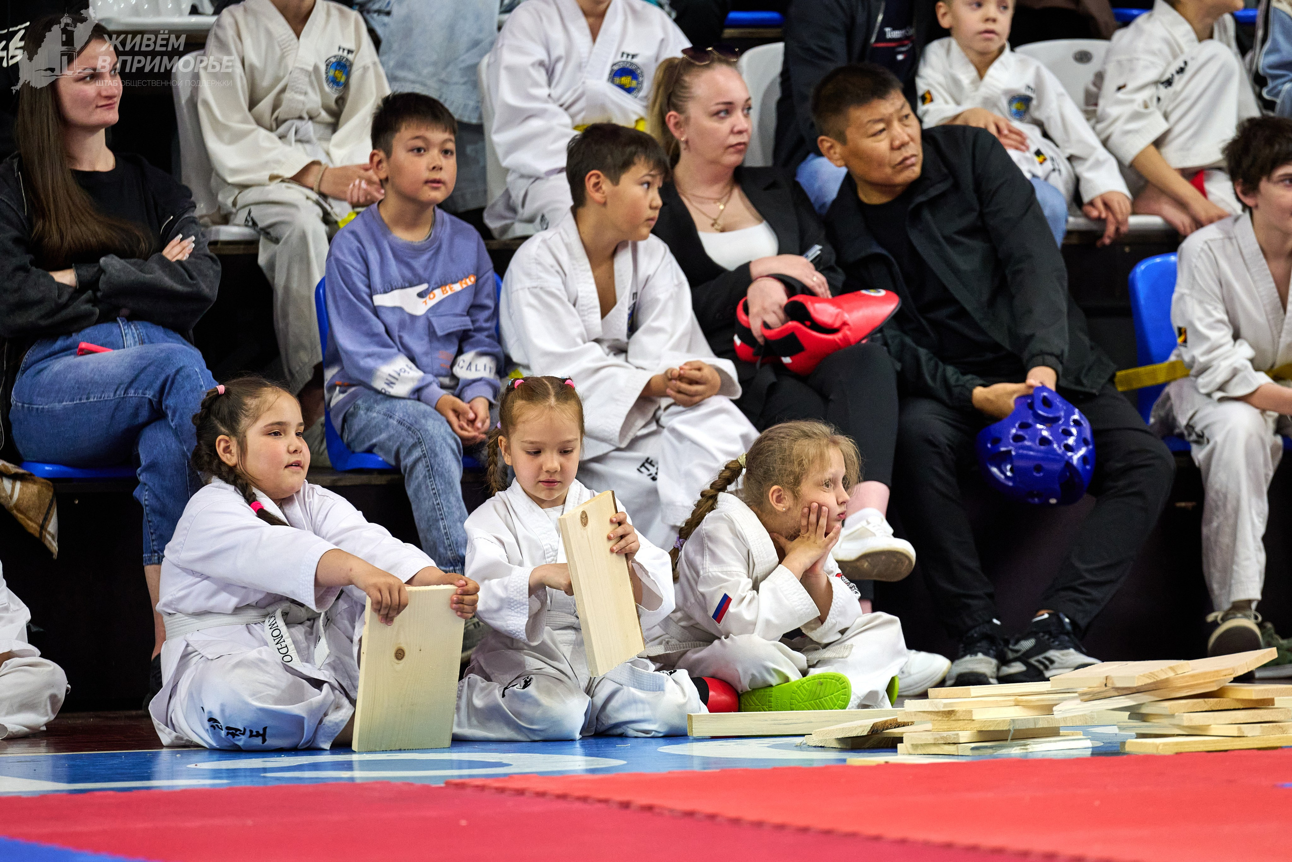 Кубок губернатора по тхэквондо. Профессиональный репортажный фотограф Инесса Иминова