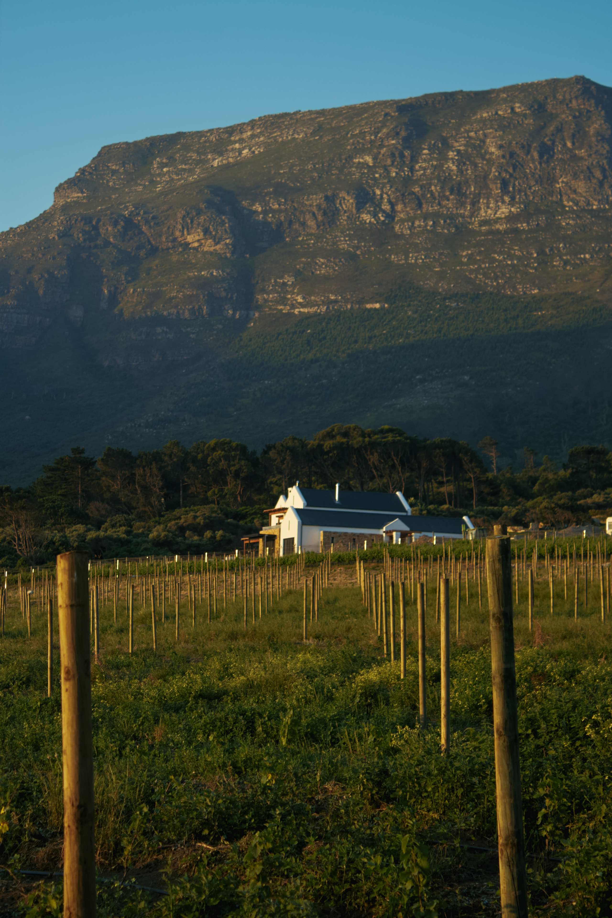 ЮАР. Профессиональный Фотограф во Владимире, в Москве и в Суздале — Полина Романычева
