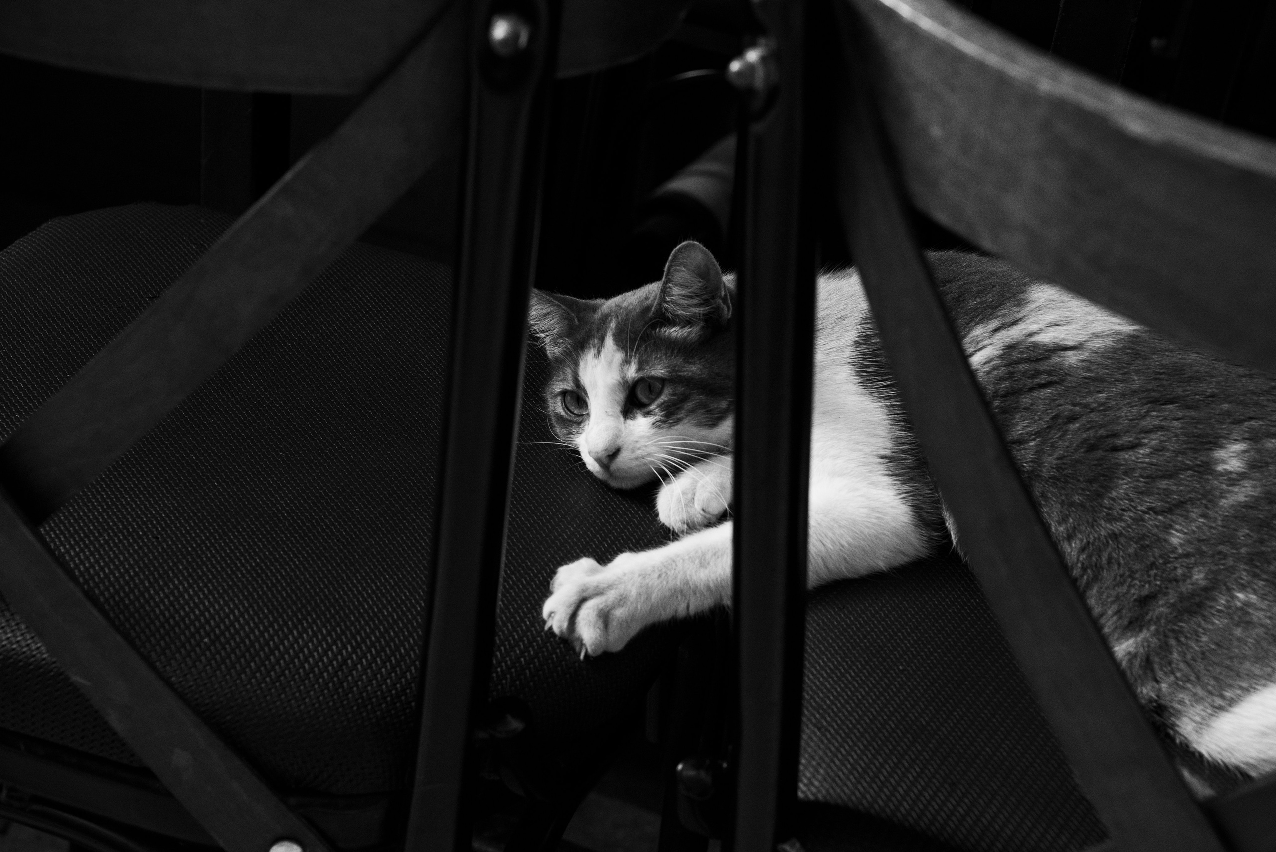 Стамбул. Фотограф Милена Яновска