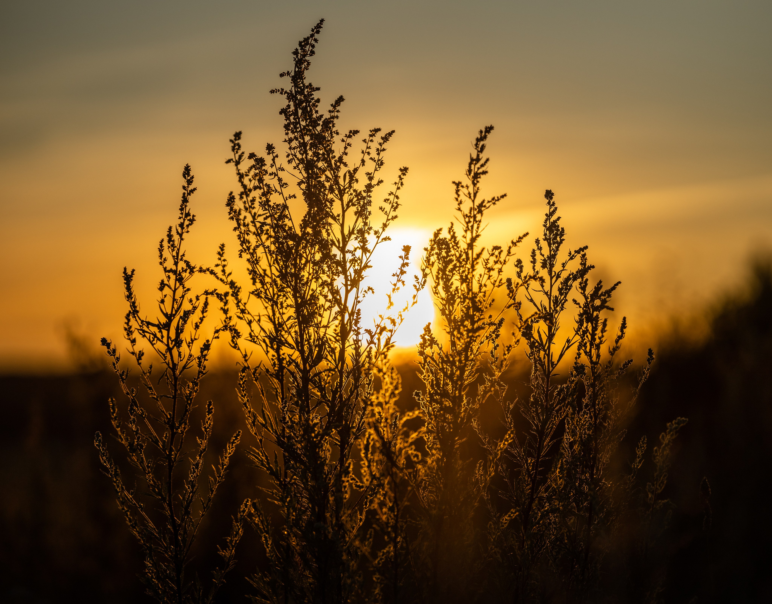 Природные пейзажи. Наталия Клевинскас портретный фотограф в Костроме