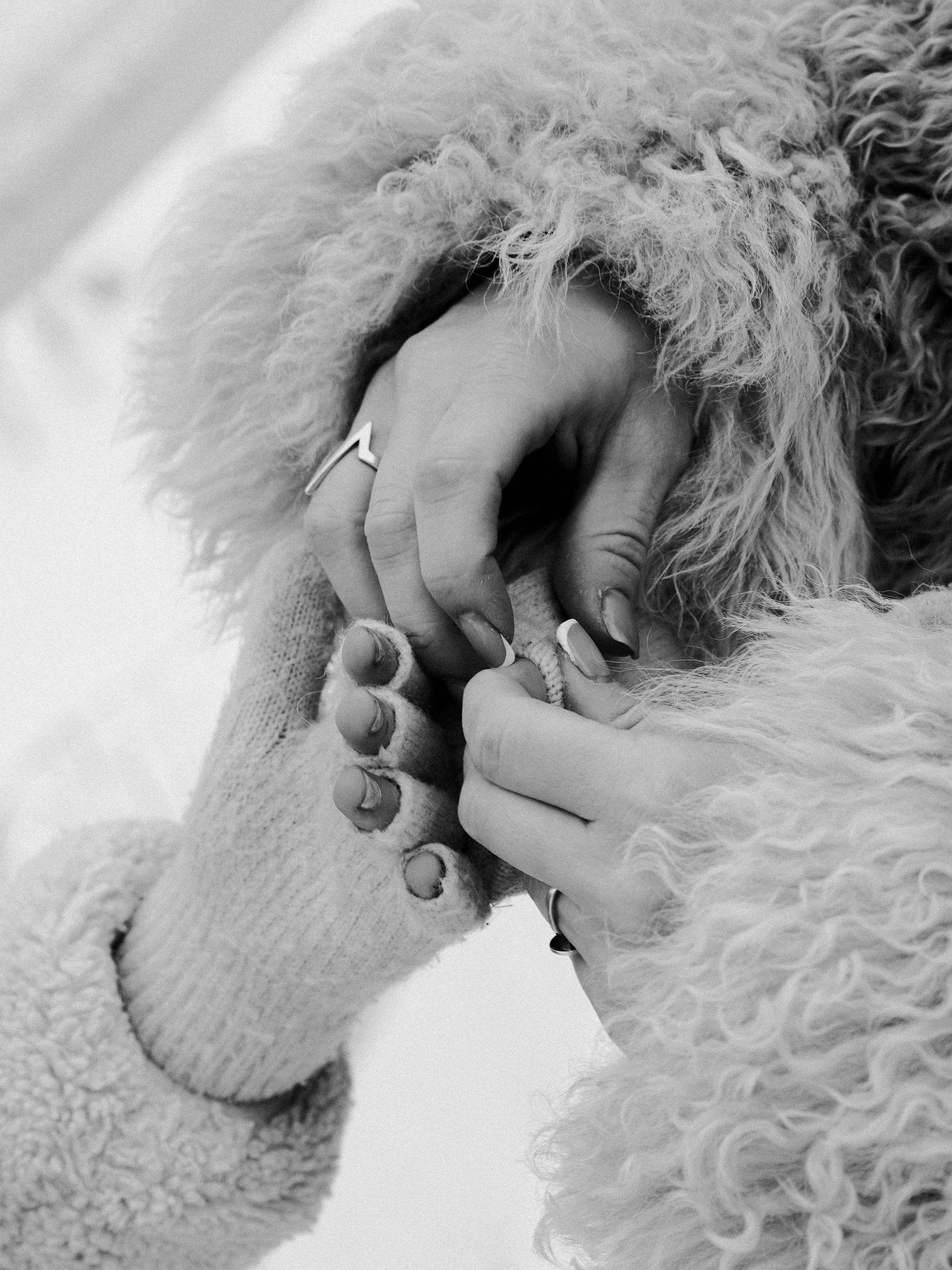 Семейная съемка. АЛЁНА БИРЮКОВА — ЖЕНСКИЙ ФОТОГРАФ, ЙОШКАР-ОЛА