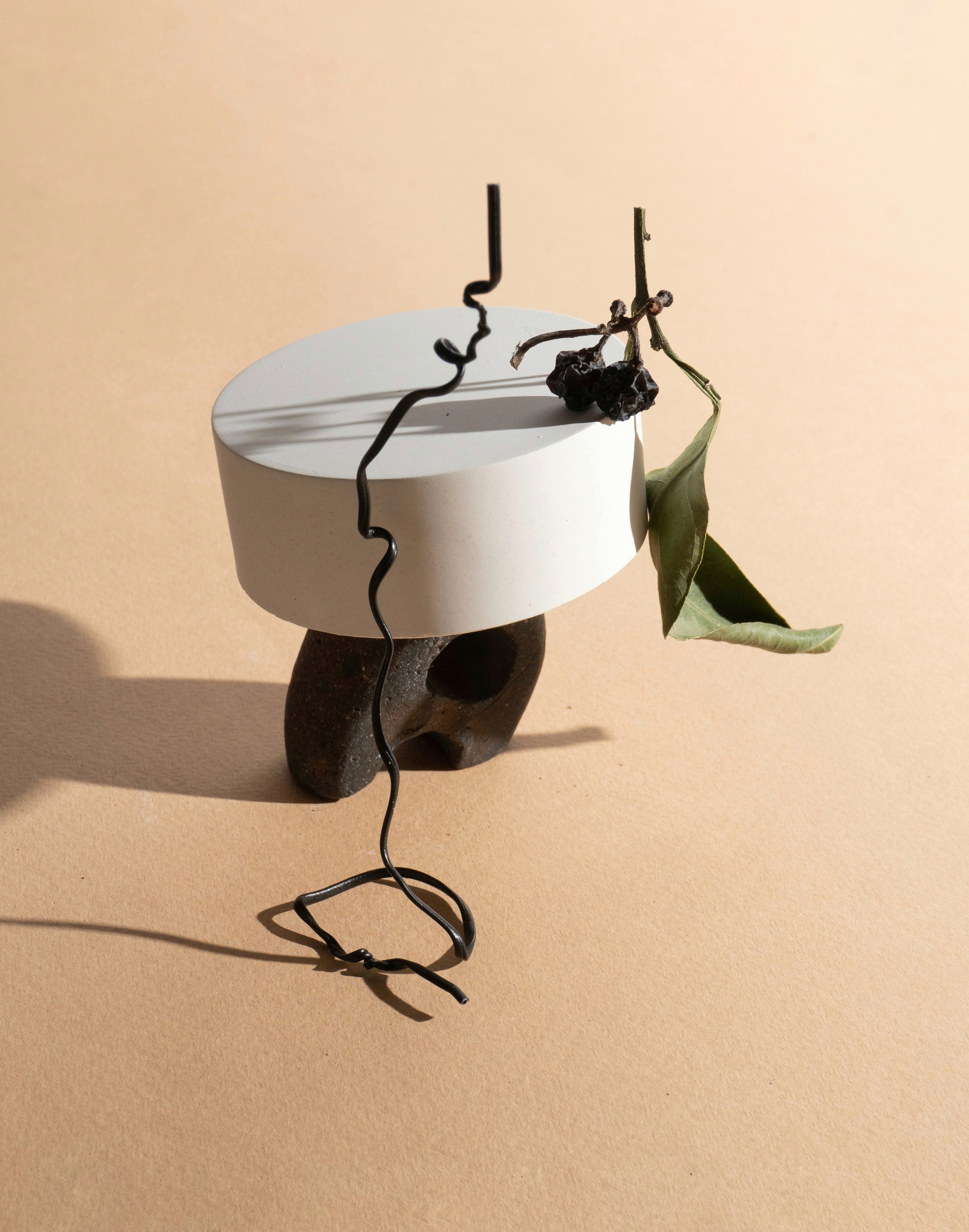 Personal. Настасья Проценко. Фотограф