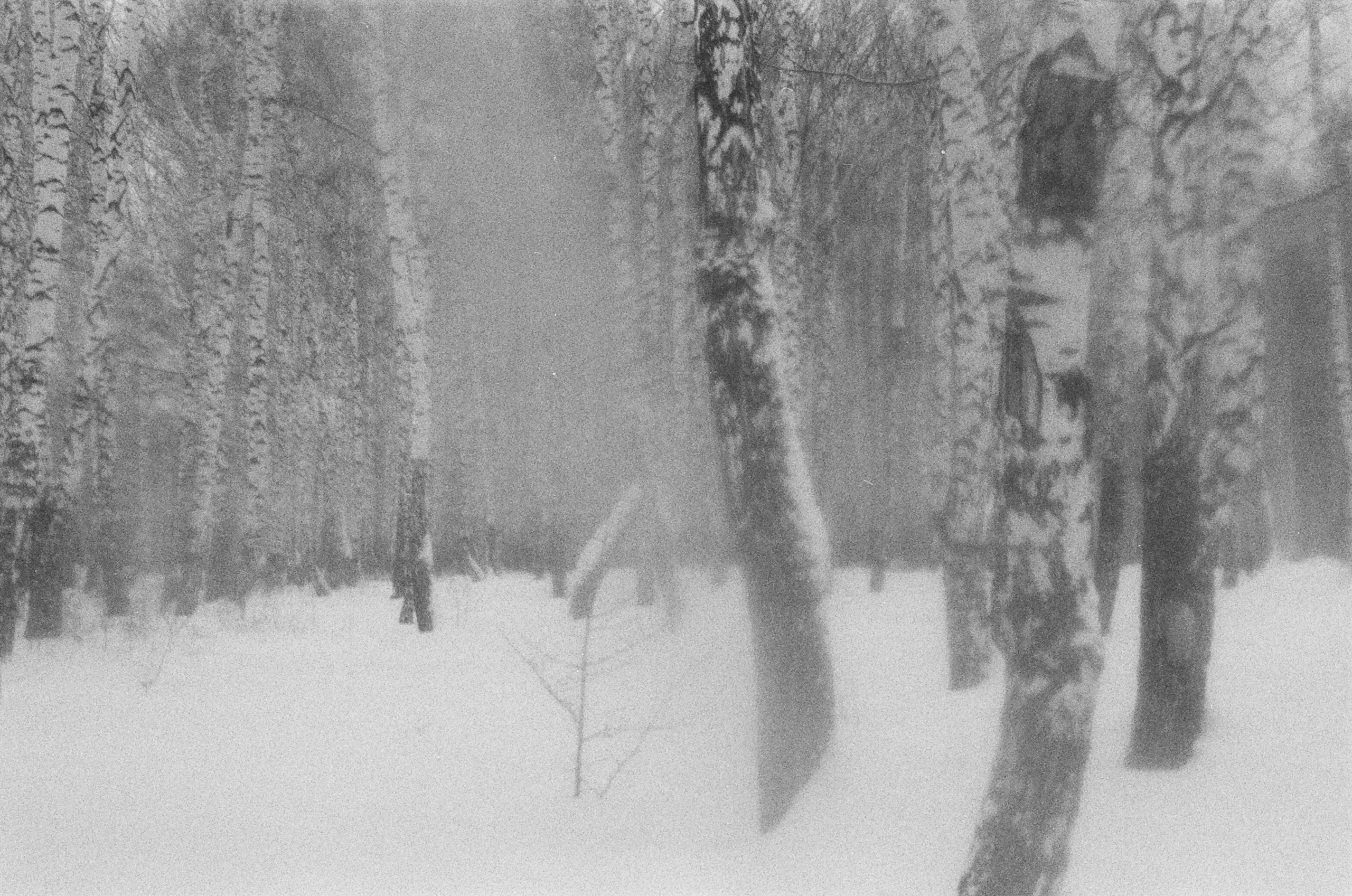 Плёнка 35/120мм. Katya Medvedeva