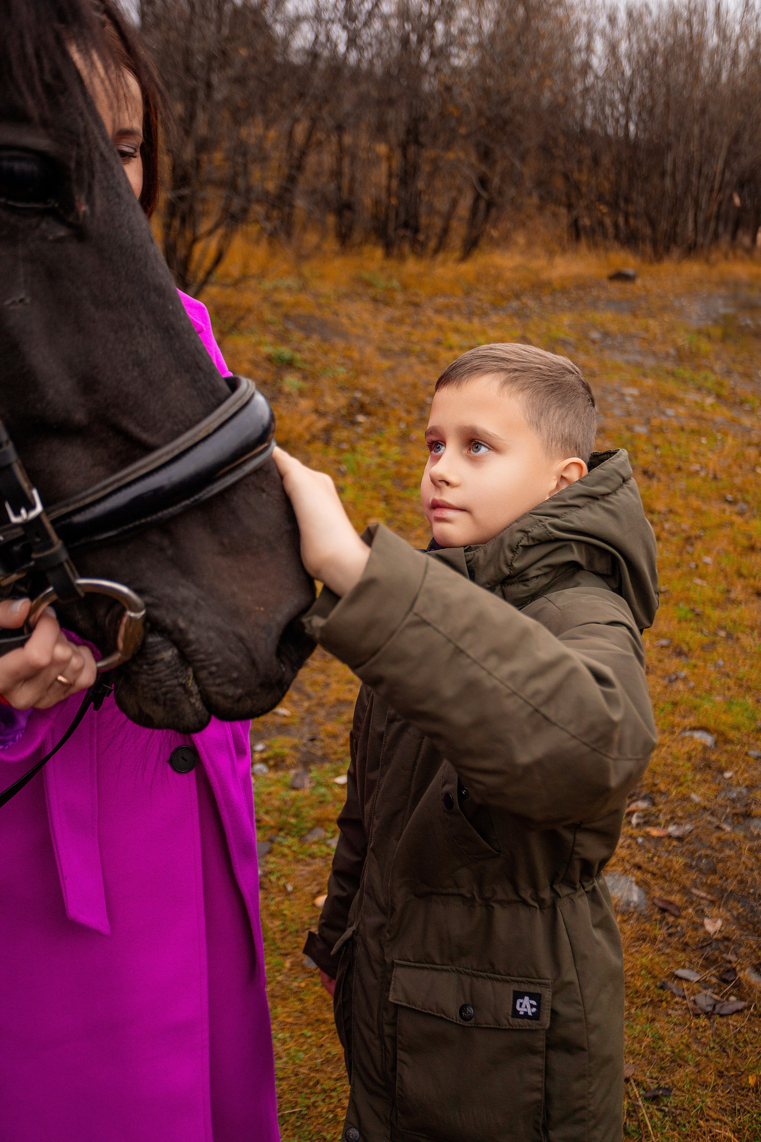 Horses. Фотограф Мурманск Лилия Маер