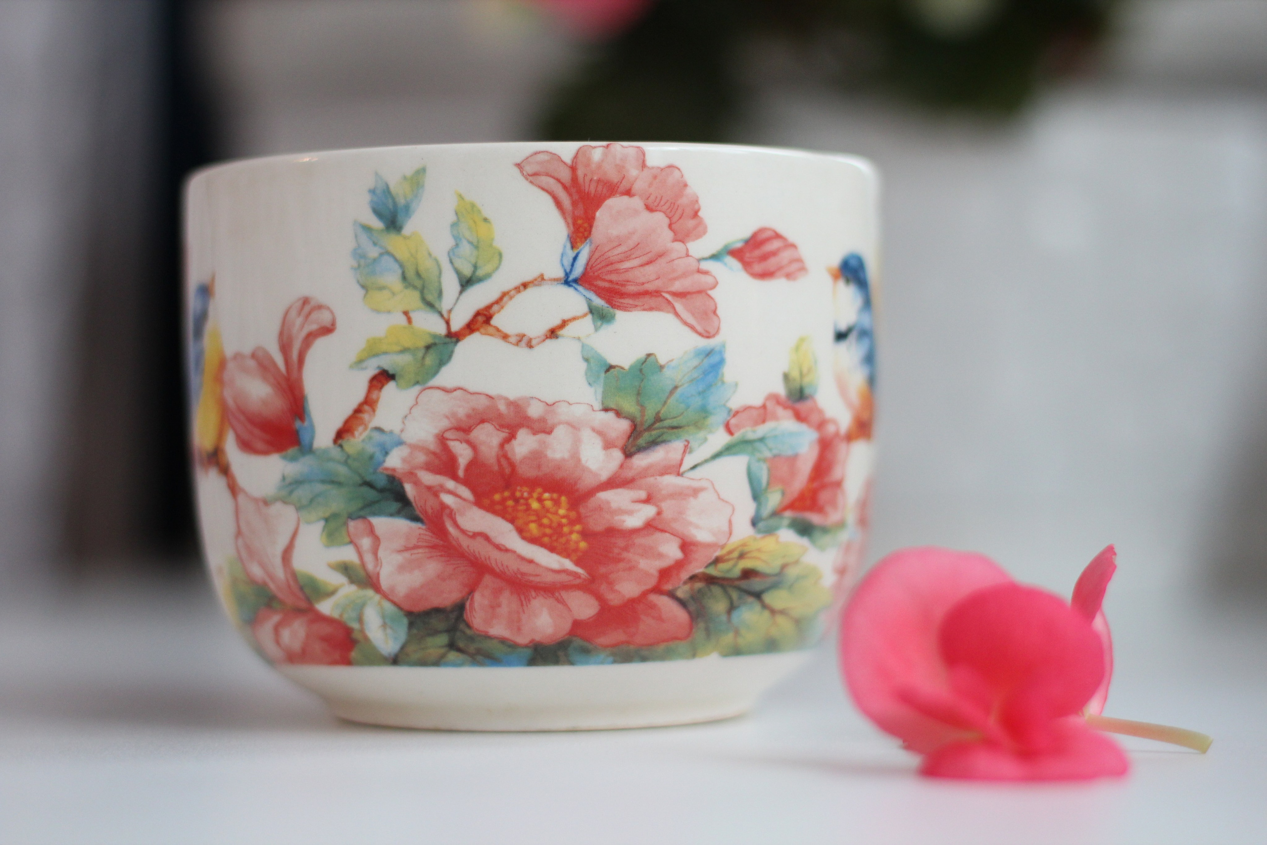 Предметная фотография. Семейный и детский фотограф в Москве Анастасия Крейнина