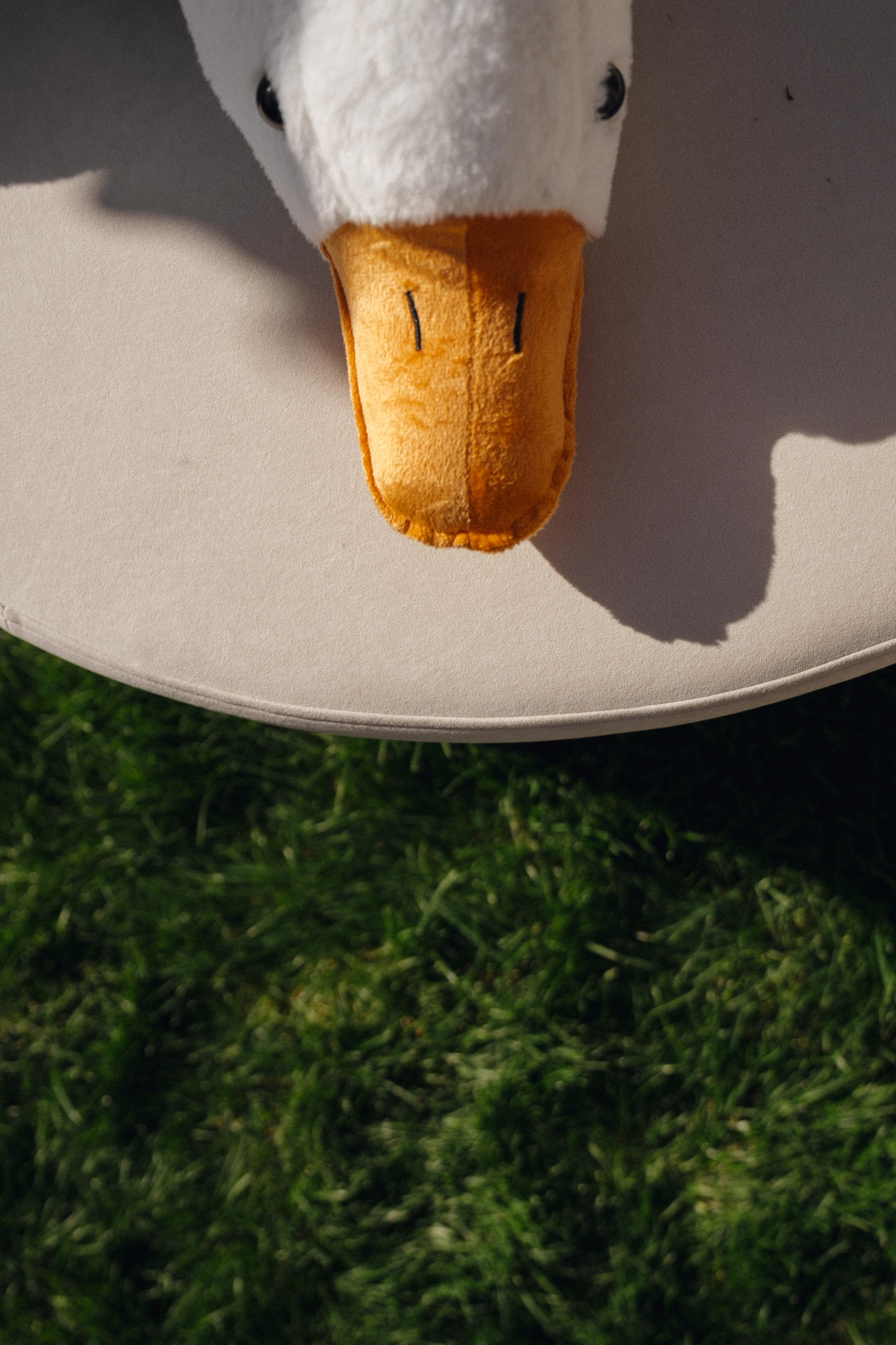 Гендер-пати. Свадебный фотограф в Краснодаре и Сочи Винидиктова Екатерина