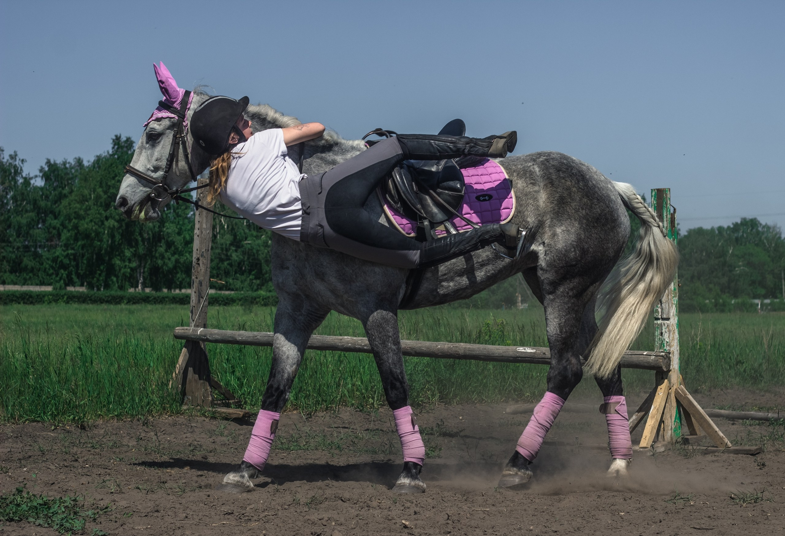 Для конников. Главная