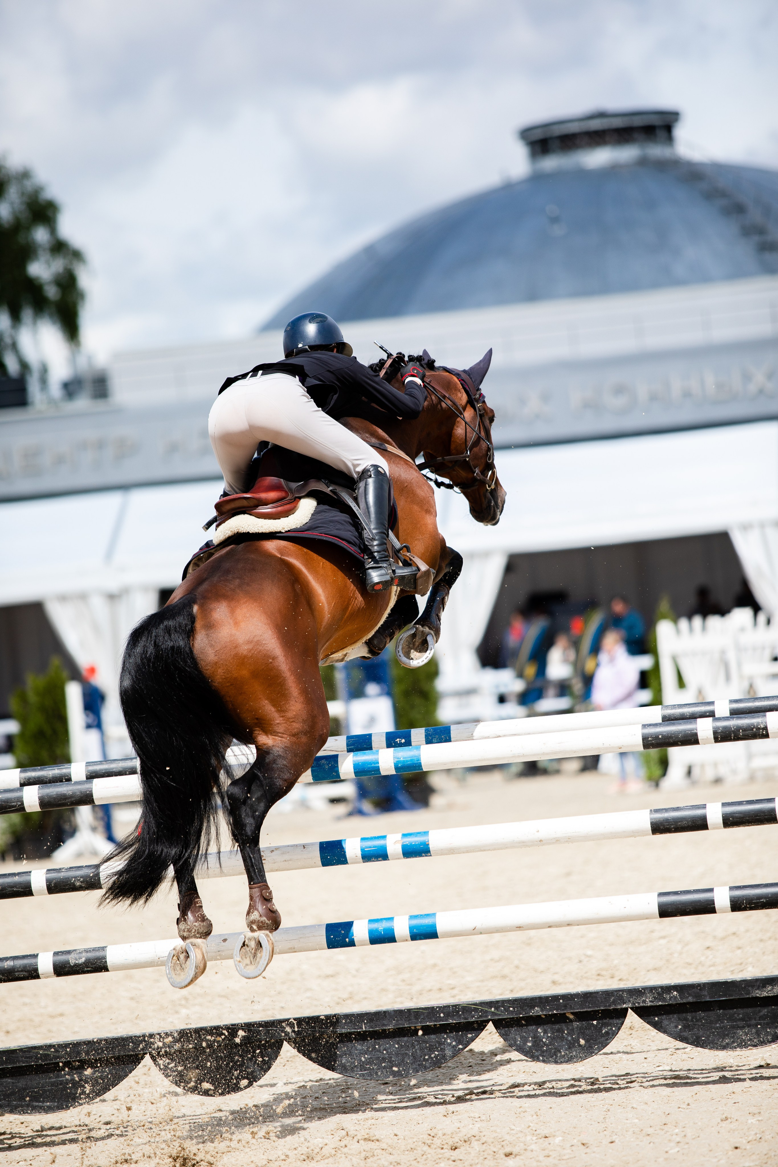 Турниры. Veronika Makeeva horse photo