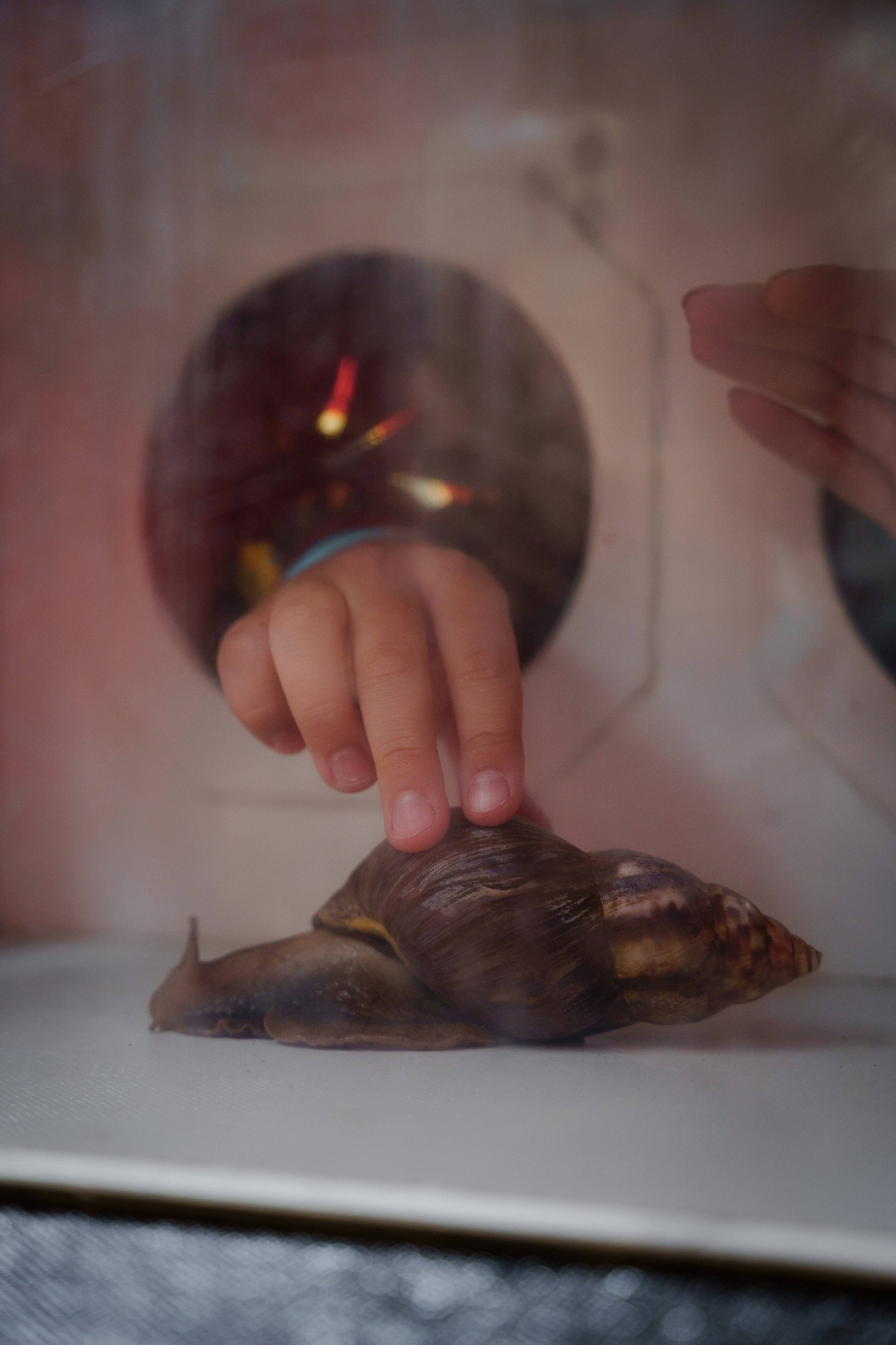 Гендер пати в славянском стиле. Репортажный фотограф в Москве Саша Дружинина