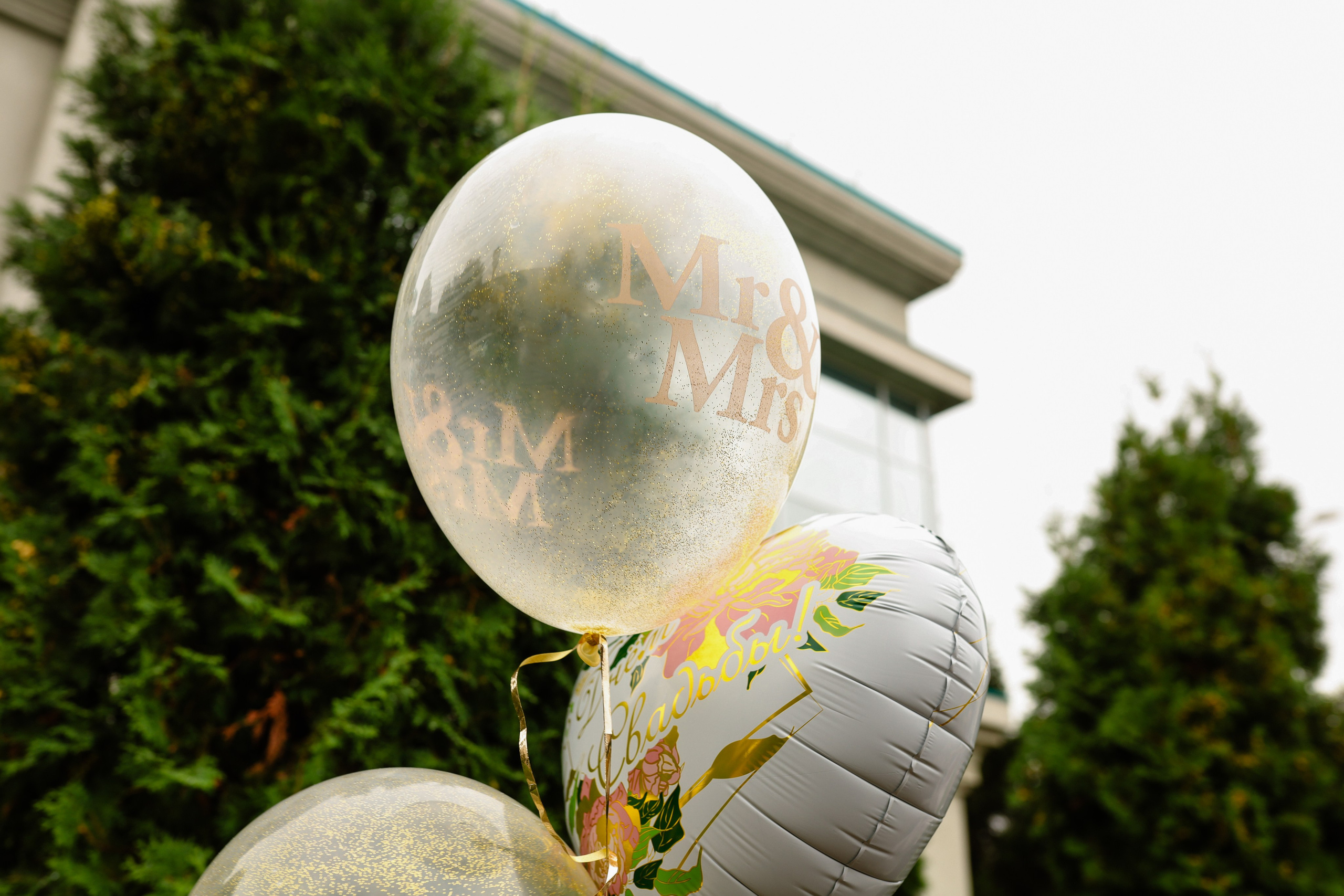 Александр и Мария. Инна Вильт| лайфстайл фотограф из Новосибирска