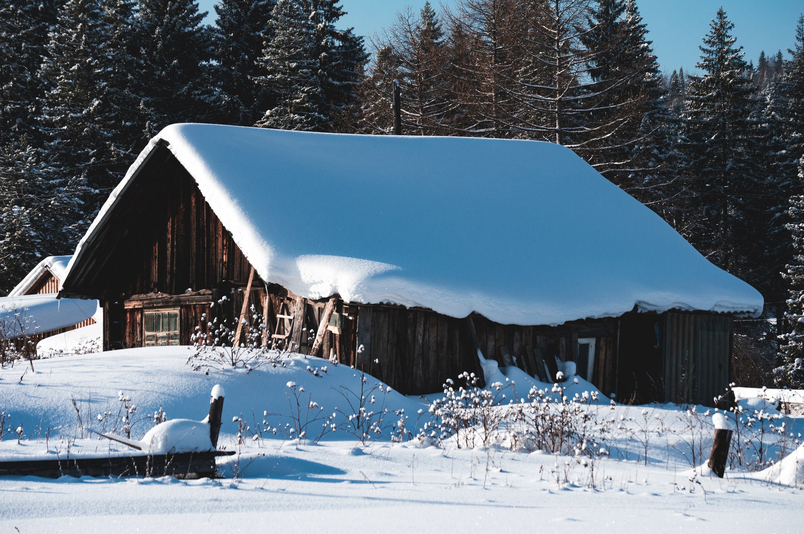 Эстетика еб{деревней}й. Место {не}банальных фото