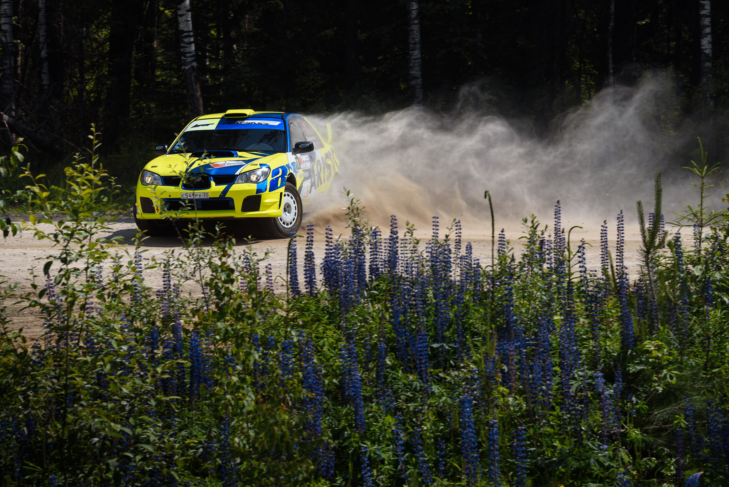 Елена Чеснокова спортивный фотограф во Владимире и Белграде