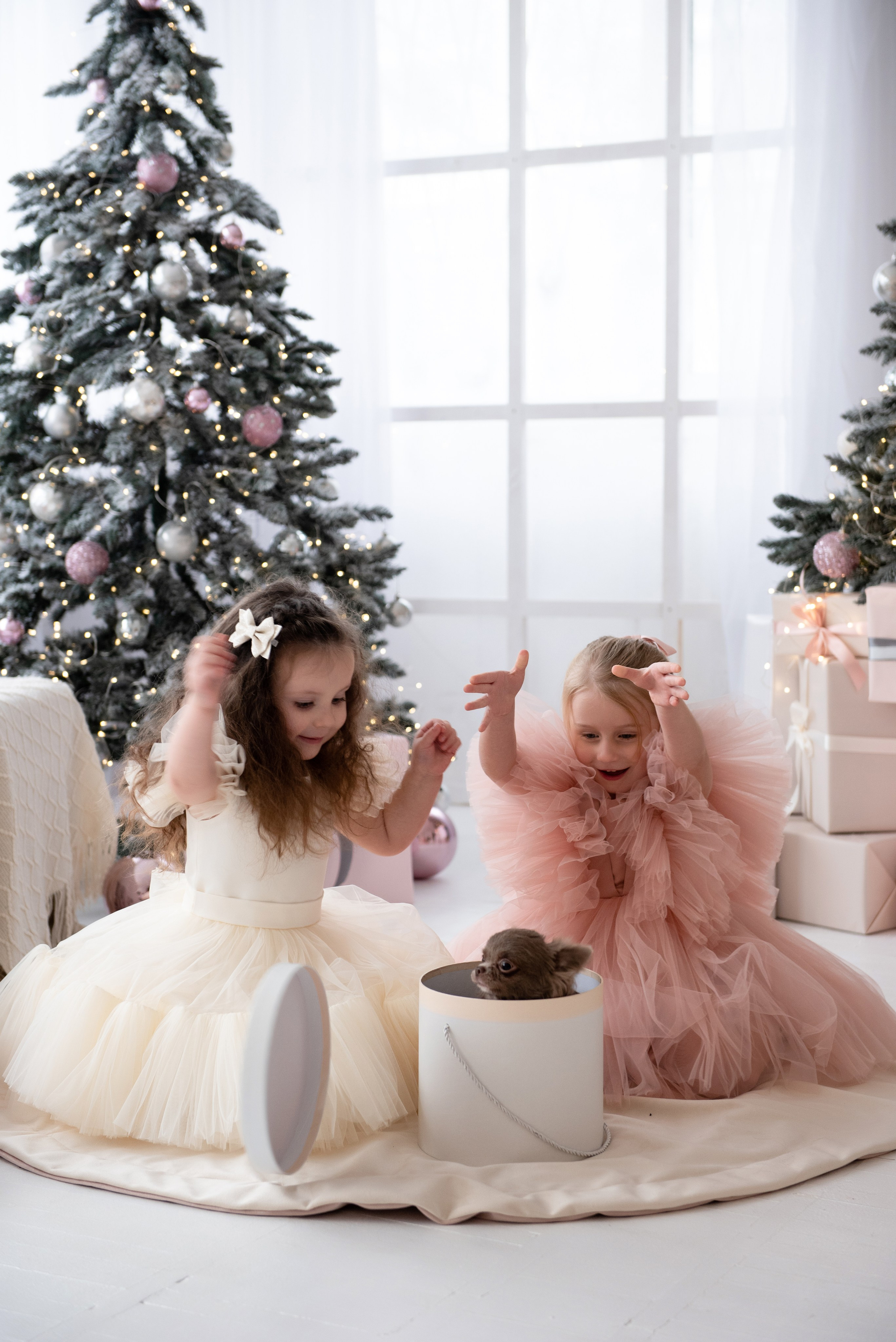 Новогодние. Свадебный и семейный Фотограф в Твери Сергей Скорода