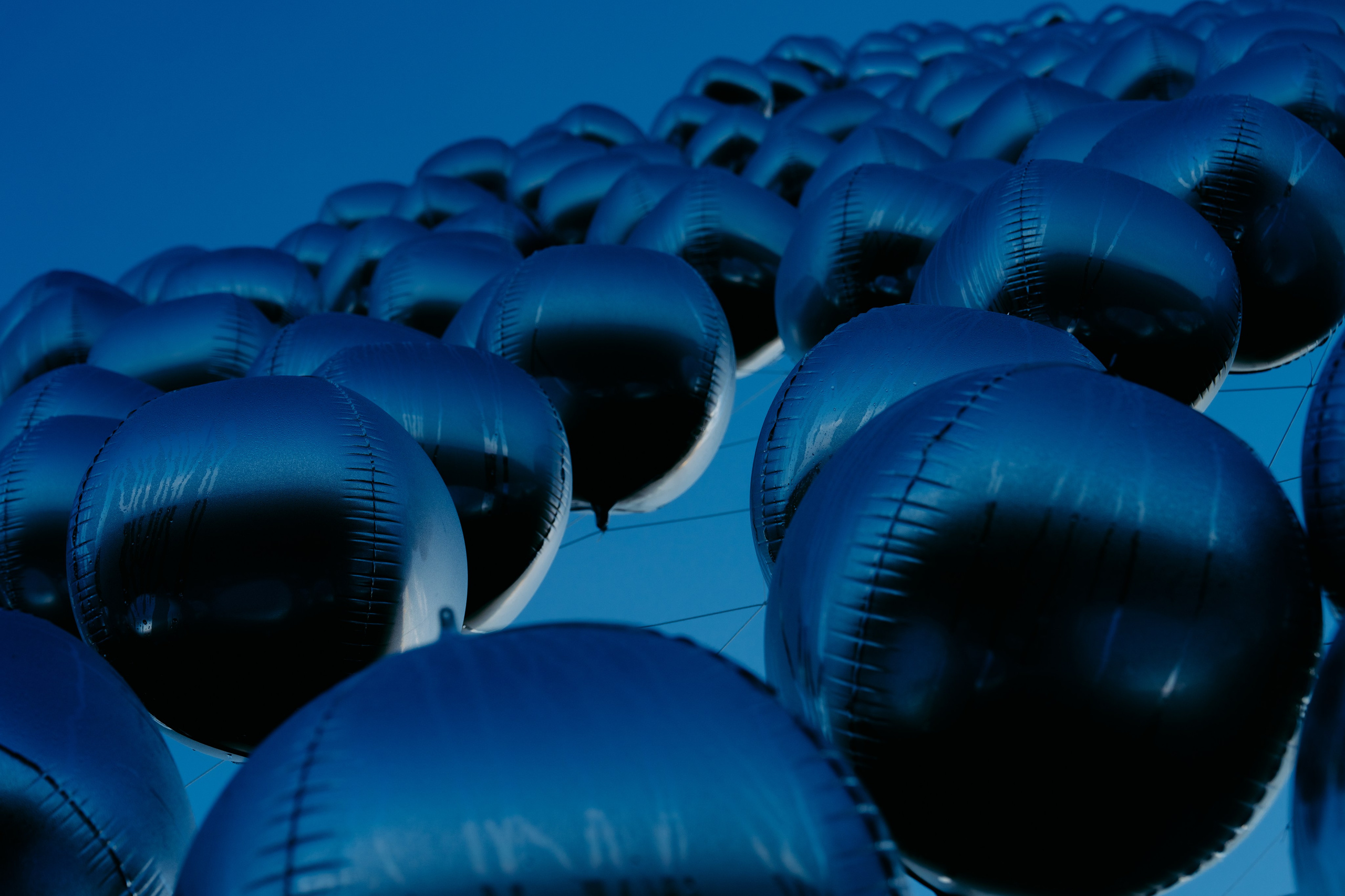 Signal 2024. @tomrus: Рустам Шагиморданов — фотограф