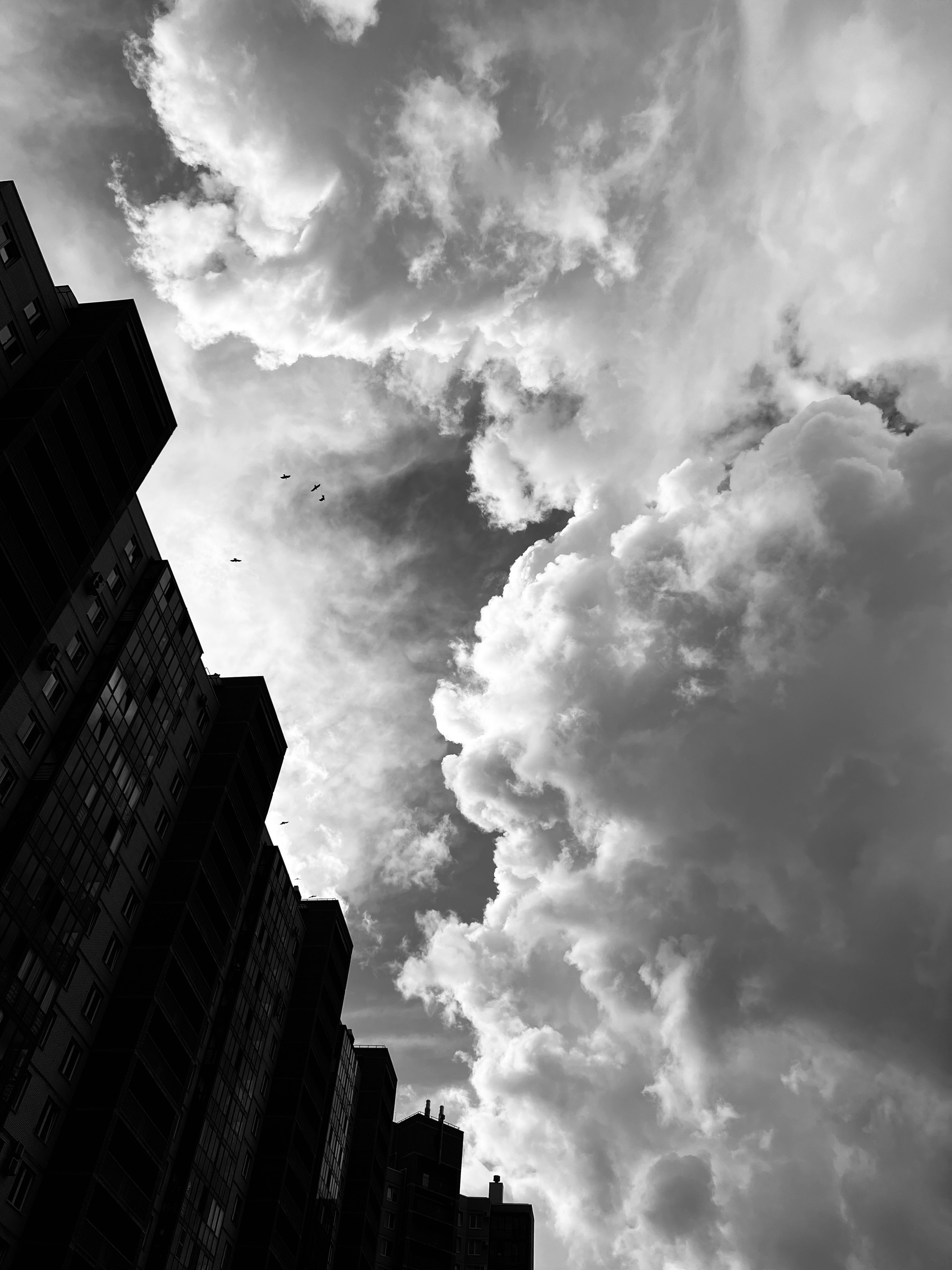 Head in the clouds / Витать в облаках. Художник Катерина Копейкина / Artist Katerina Kopeikina