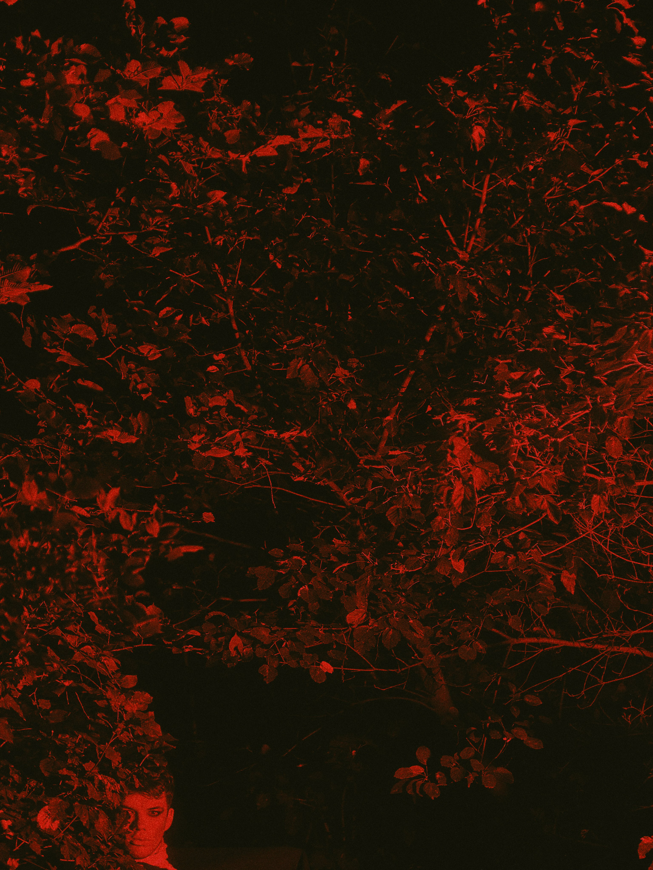 Sni Trava. Сайт фотографа в Саратове