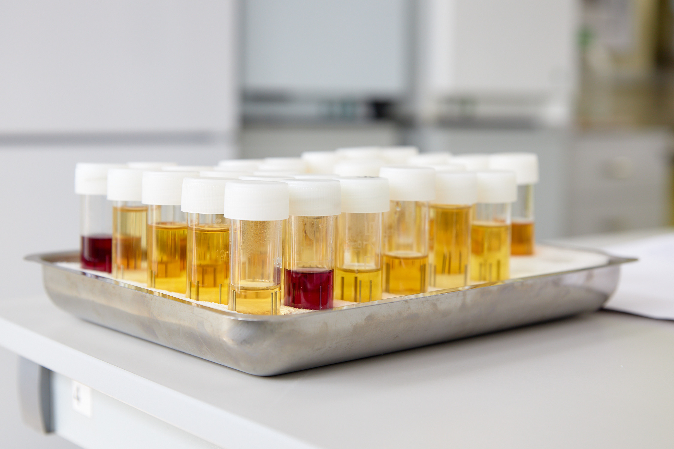 Экскурсия «Арника». Репортажный фотограф Владивосток Анастасия Сокольникова