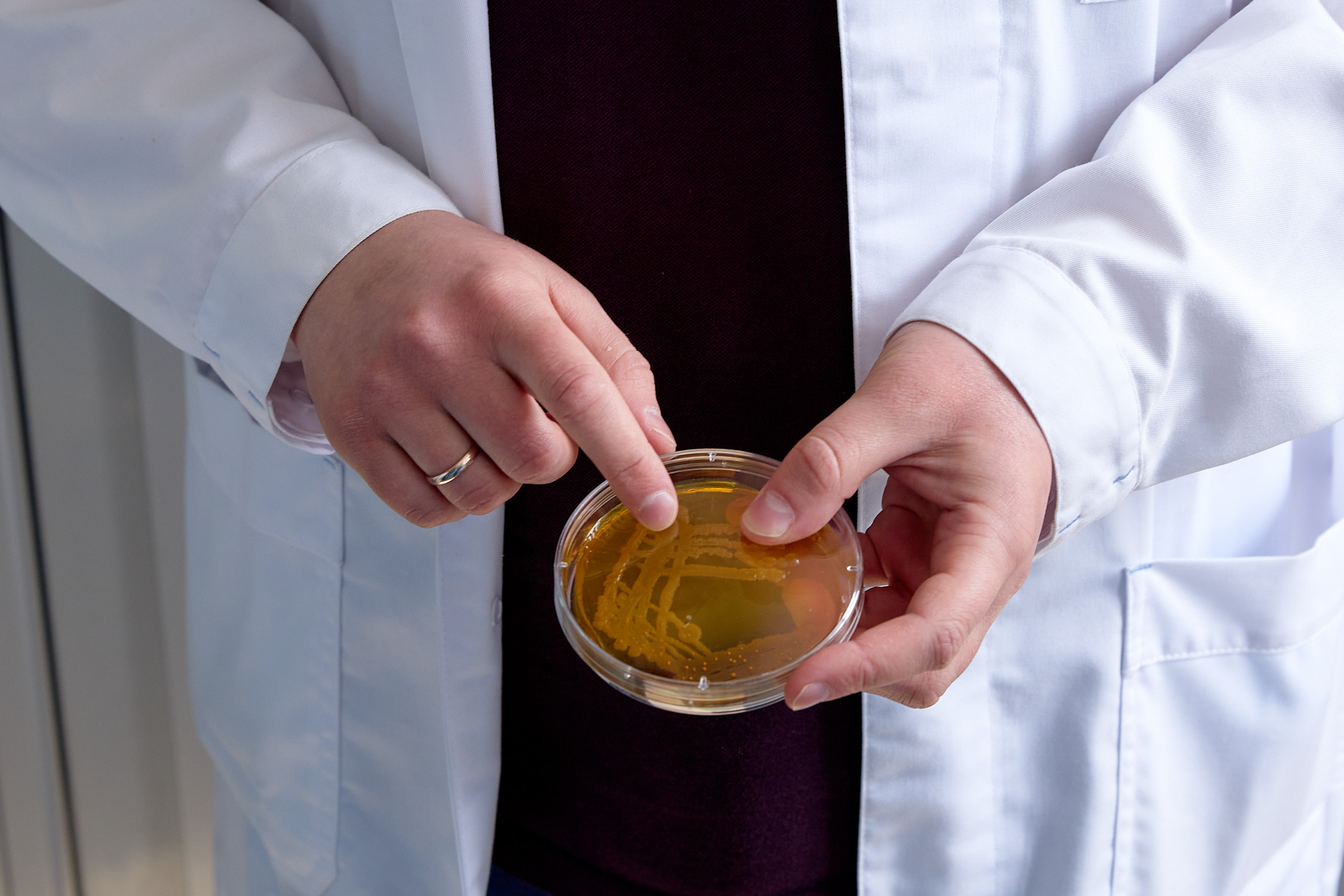 Экскурсия «Арника». Репортажный фотограф Владивосток Анастасия Сокольникова