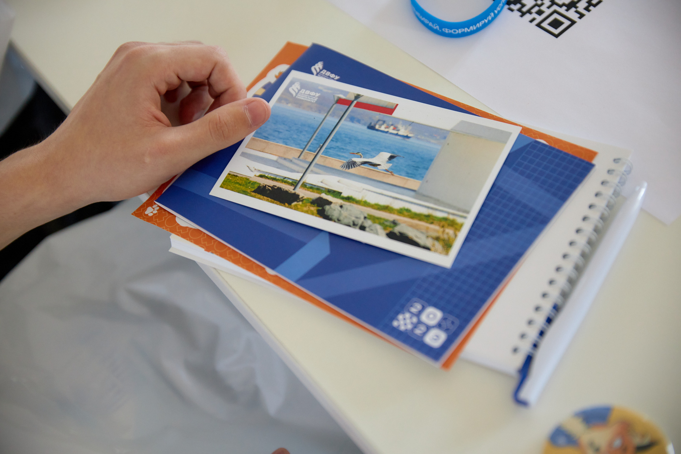 Лига Знаний 2023. Региональный этап. Репортажный фотограф Владивосток Анастасия Сокольникова