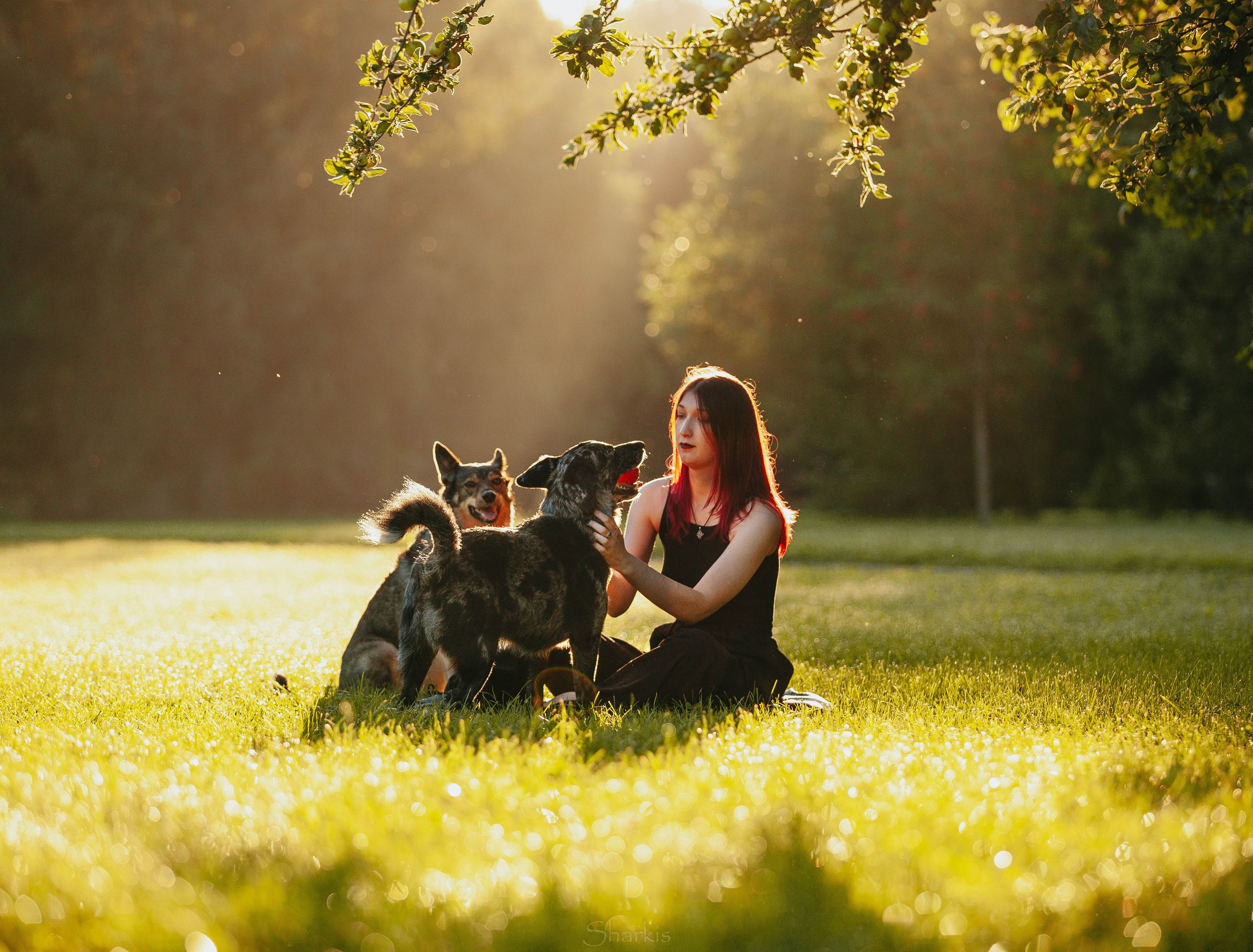 Вега и Гриша. Главная