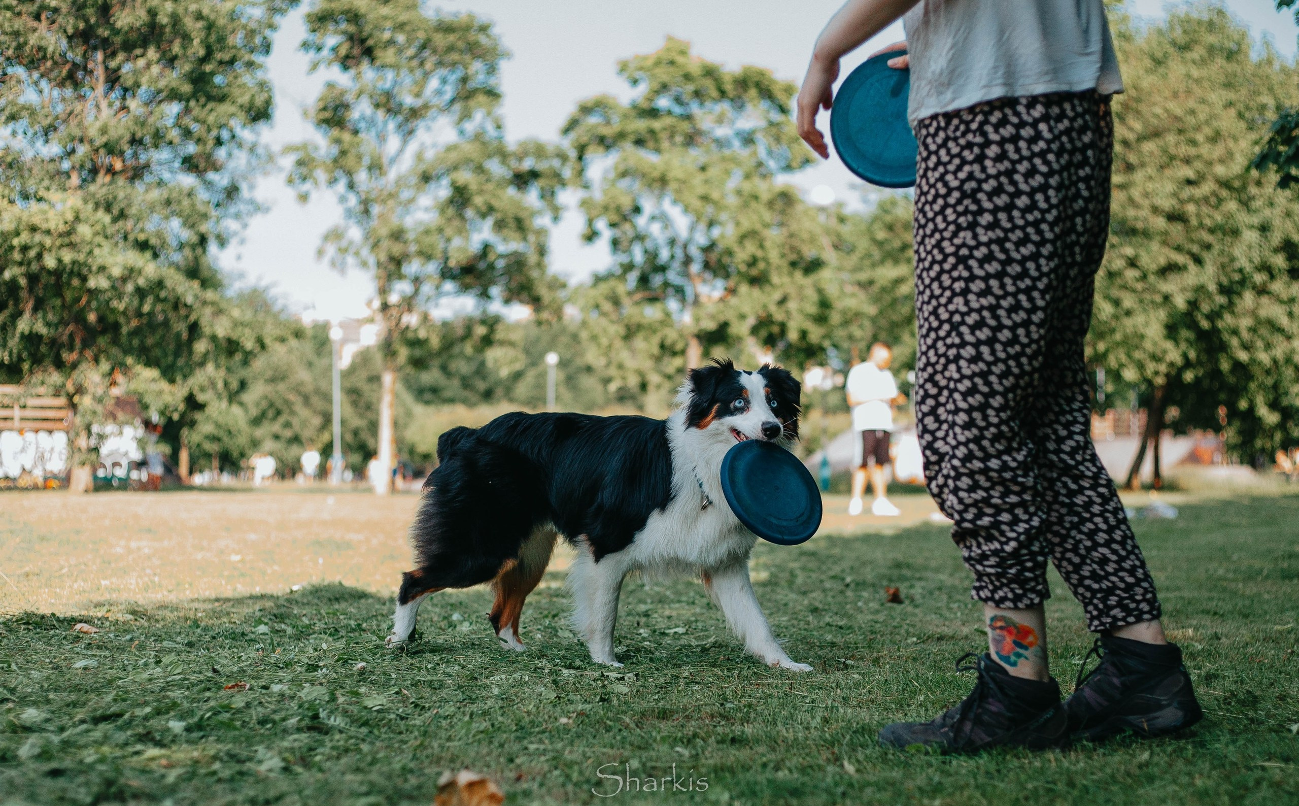 Гелий и Тсахик. Фотограф Елизавета Филатова