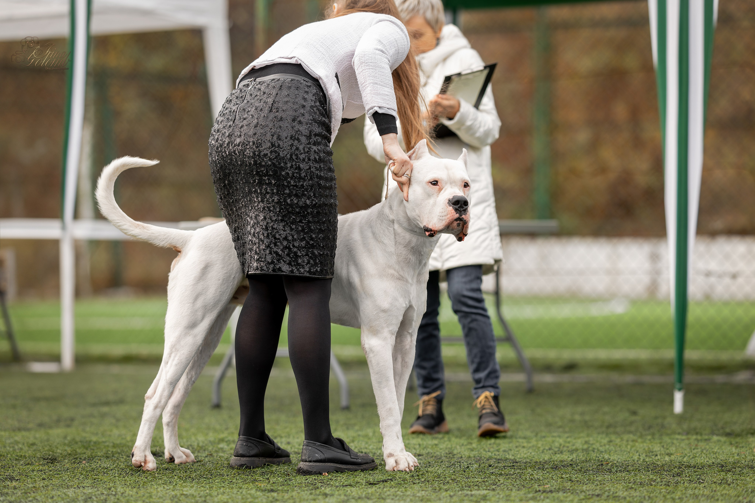 Выставка 17.12.23. Ирина Голомб|Фотограф-анималист в  Сочи и Калининграде