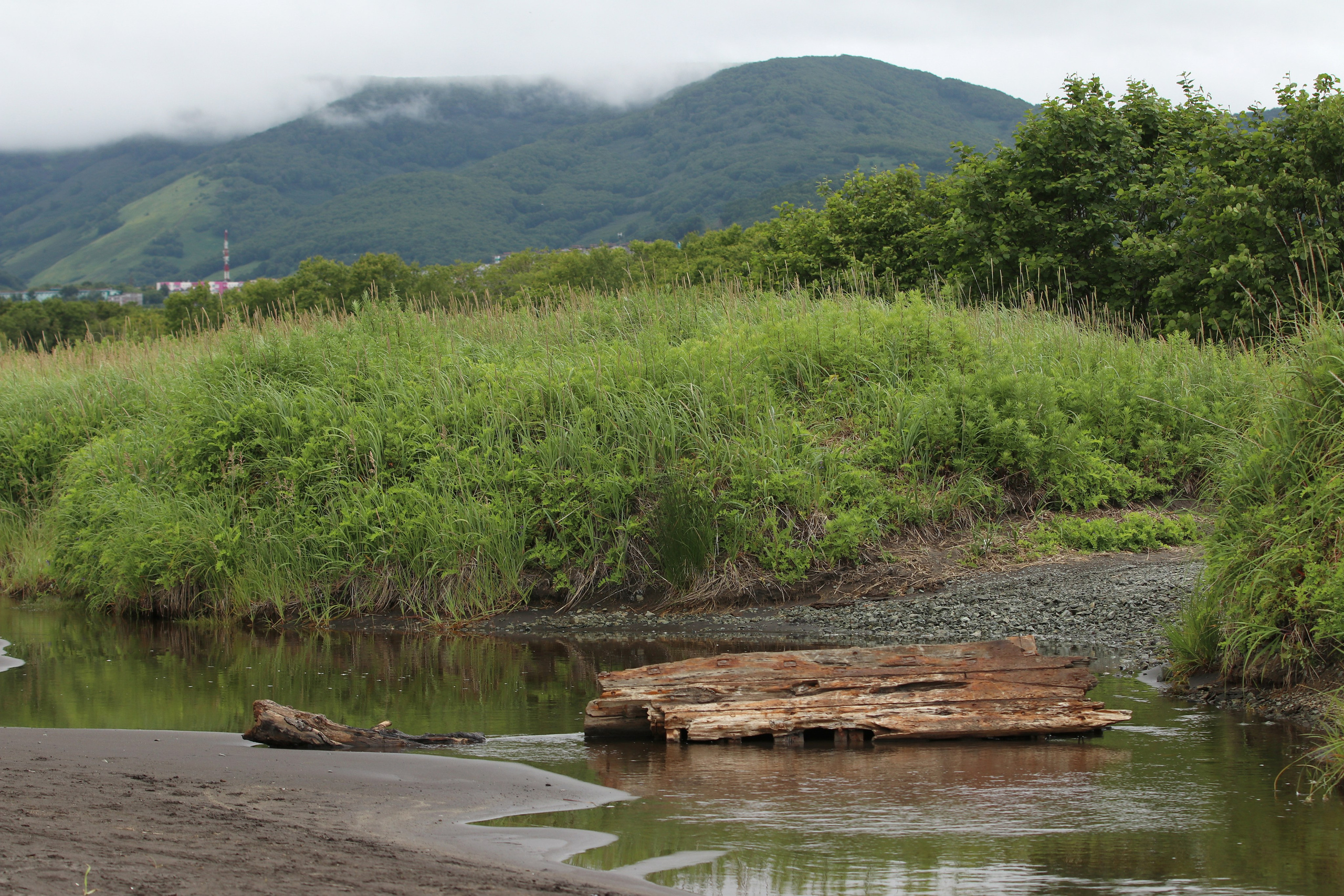 Камчатка и о. Парамушир. Июль 2024. Путешественник-фотограф из Санкт-Петербурга Татьяна Свистулина