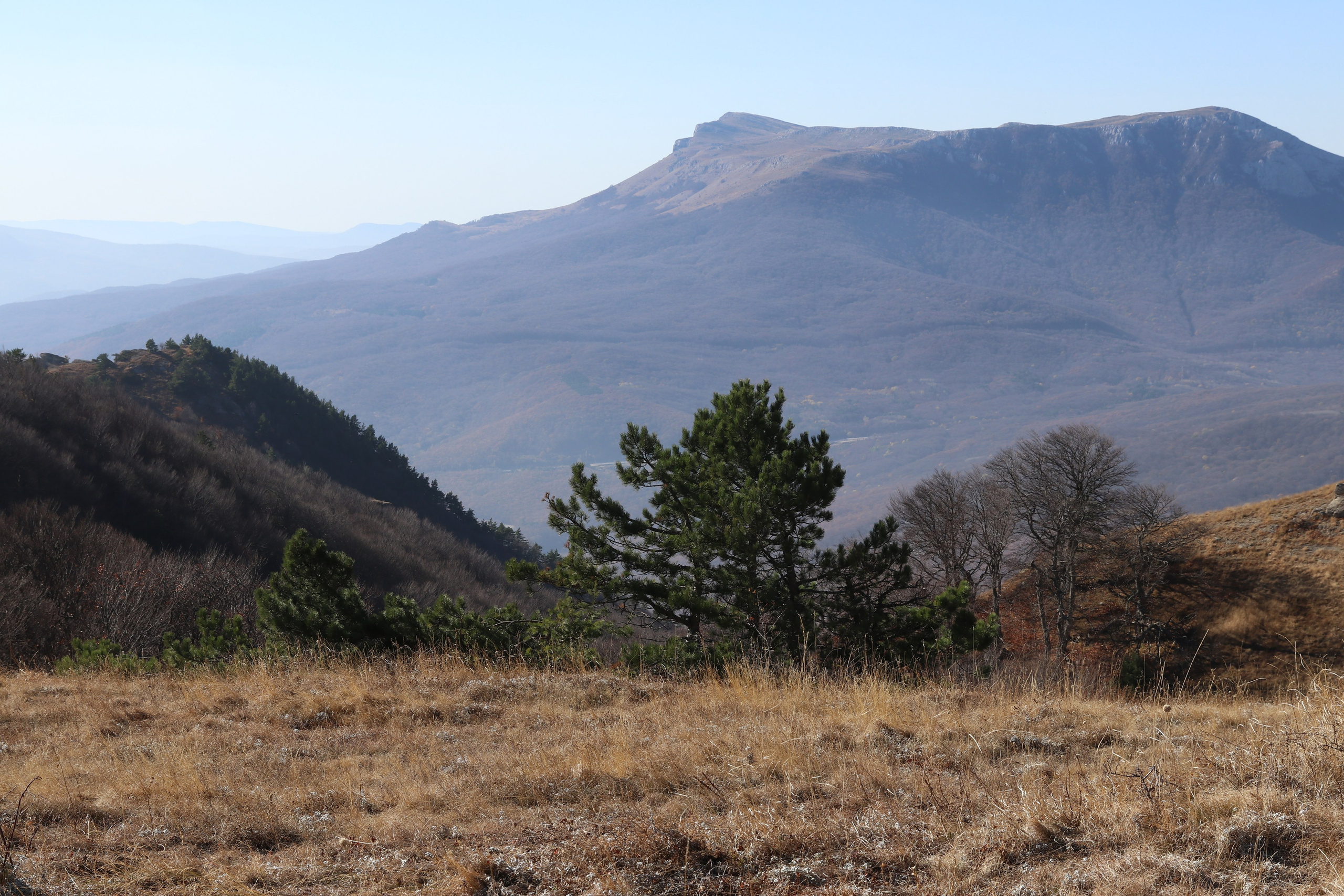 Крым. ЮБК (Гурзуф, Судак и их окрестности). Ноябрь 2023. Путешественник-фотограф из Санкт-Петербурга Татьяна Свистулина
