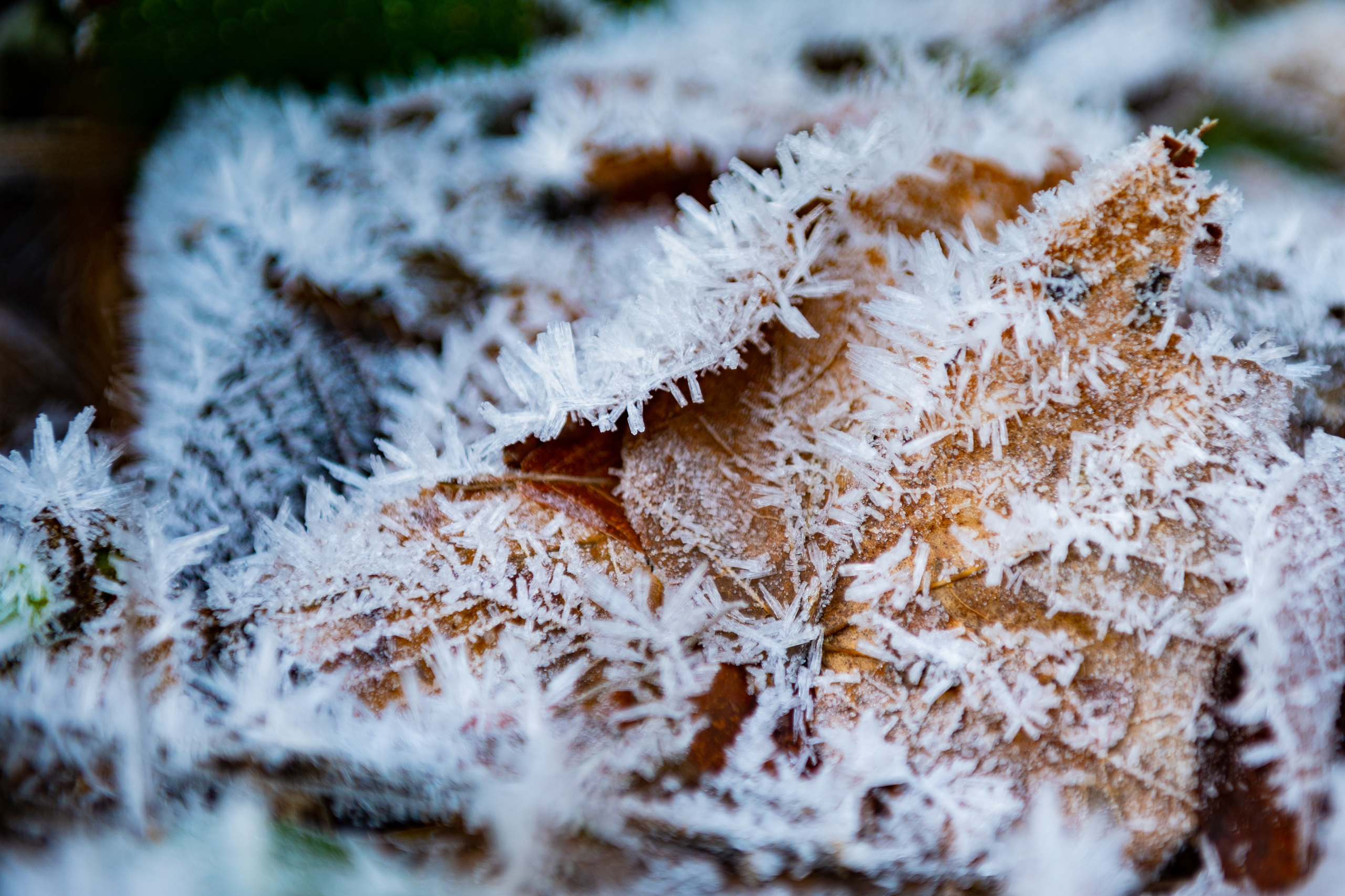 Mice мероприятие — прогулка на водопад Поликаря на курорте Красная Поляна. Репортажный фотограф в Красной Поляне и Сочи Павлюченко Екатерина