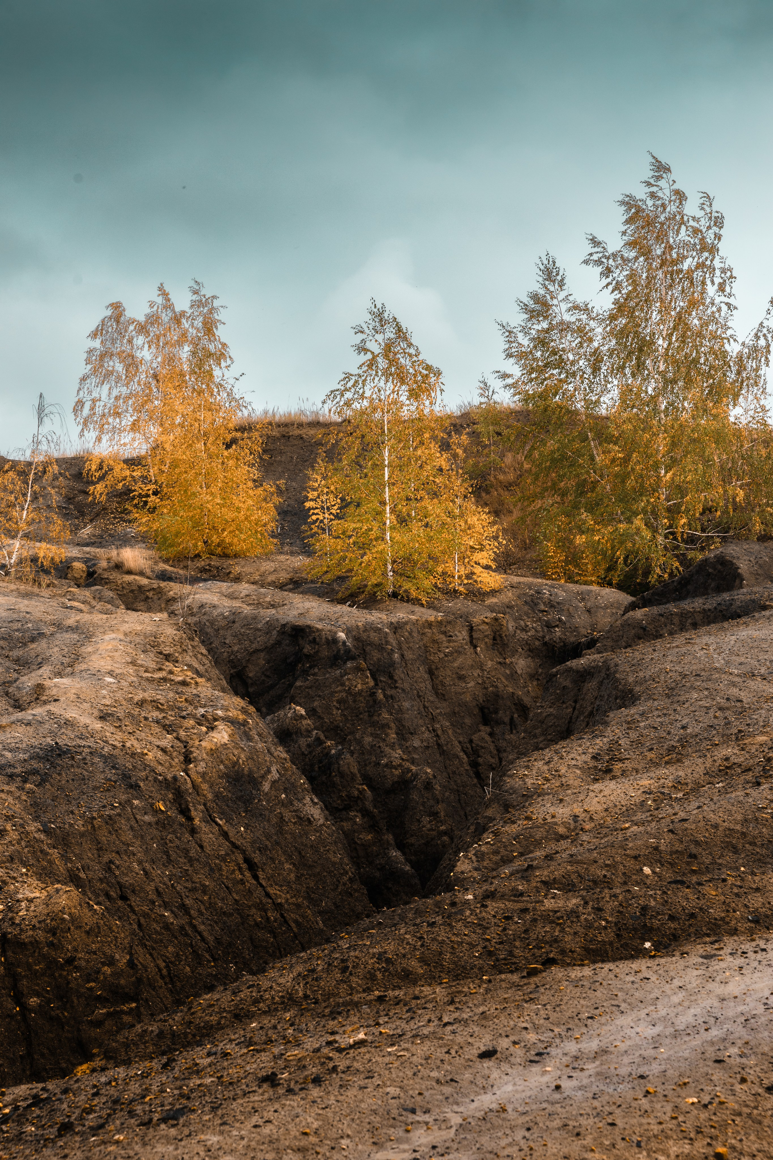 Кондуки. Октябрь 2023. Фотографии