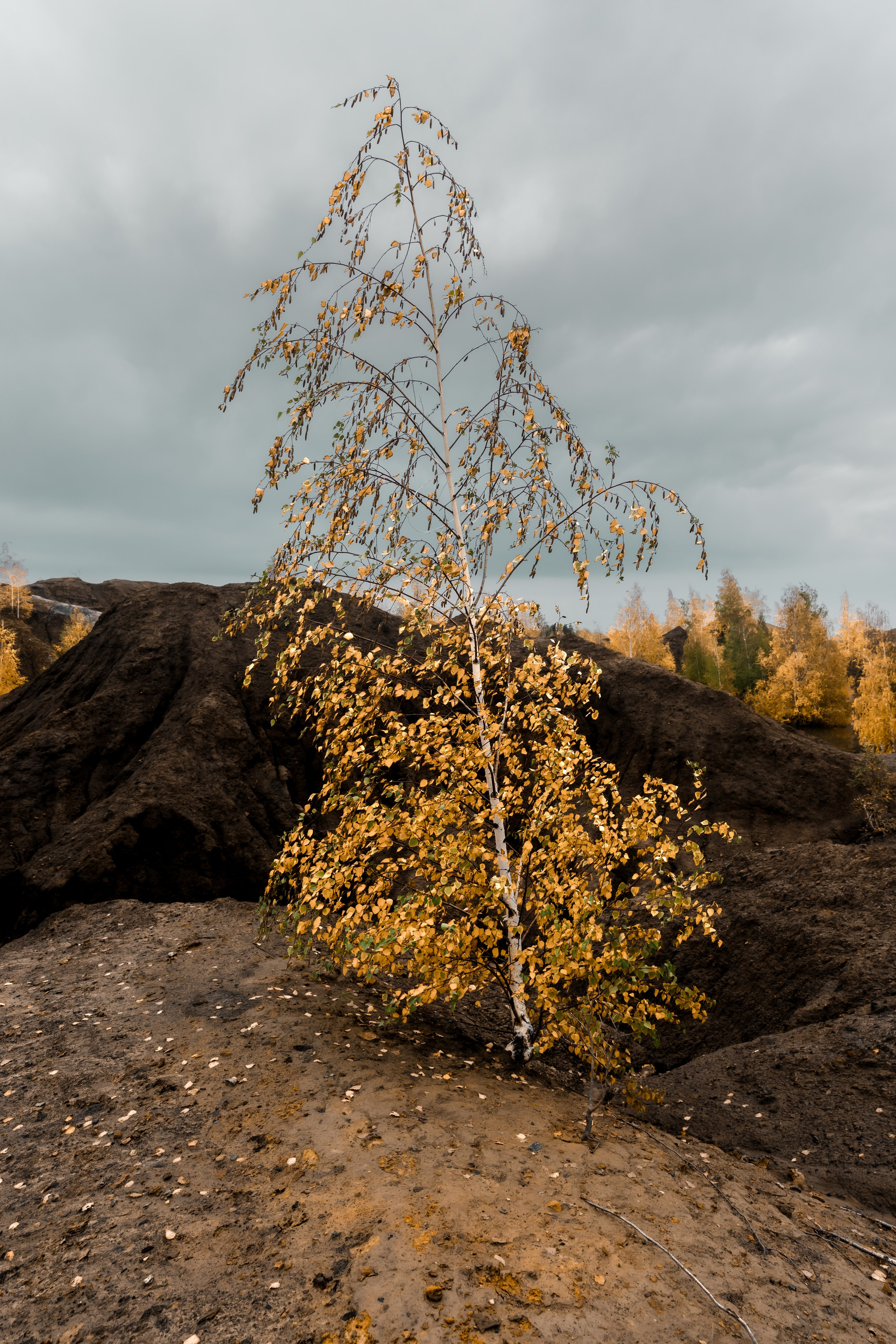 Кондуки. Октябрь 2023. Фотографии