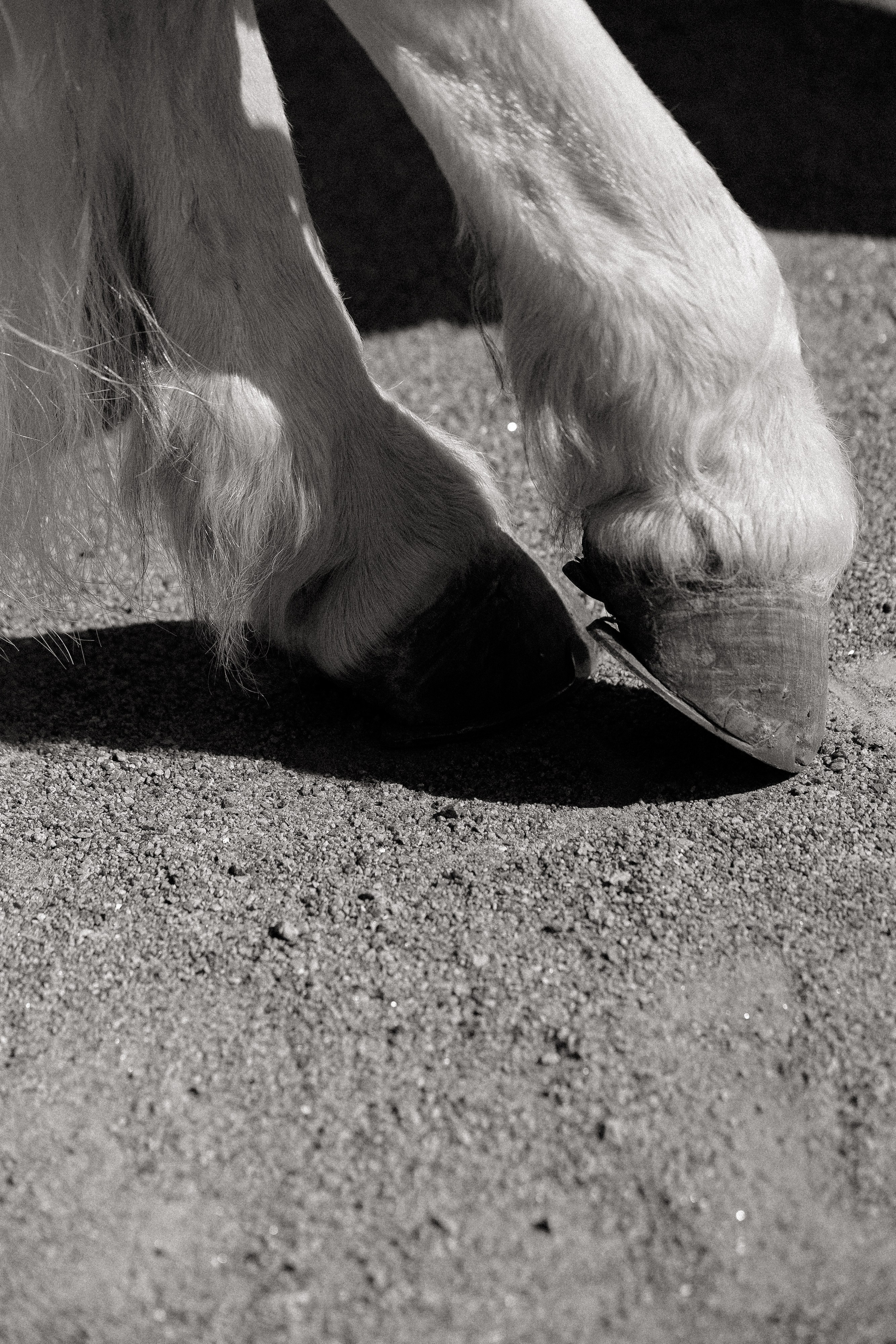 Y & S. Свадебный и event-фотограф Иван Волнухин