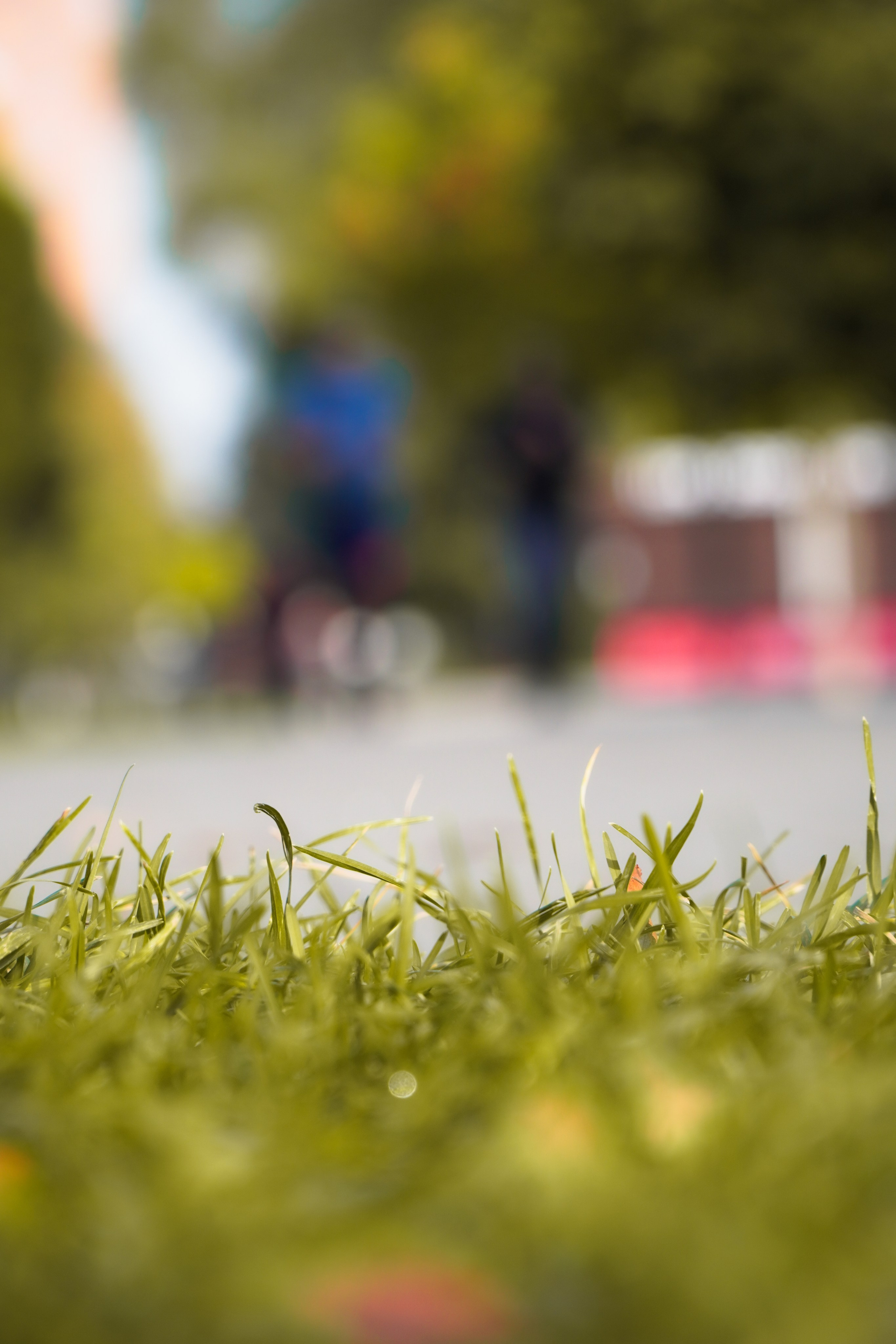 5 вёрст Наташинский 4 октября 2025. Роман Капилюшов. Бег. Фото. Видео. г. Люберцы