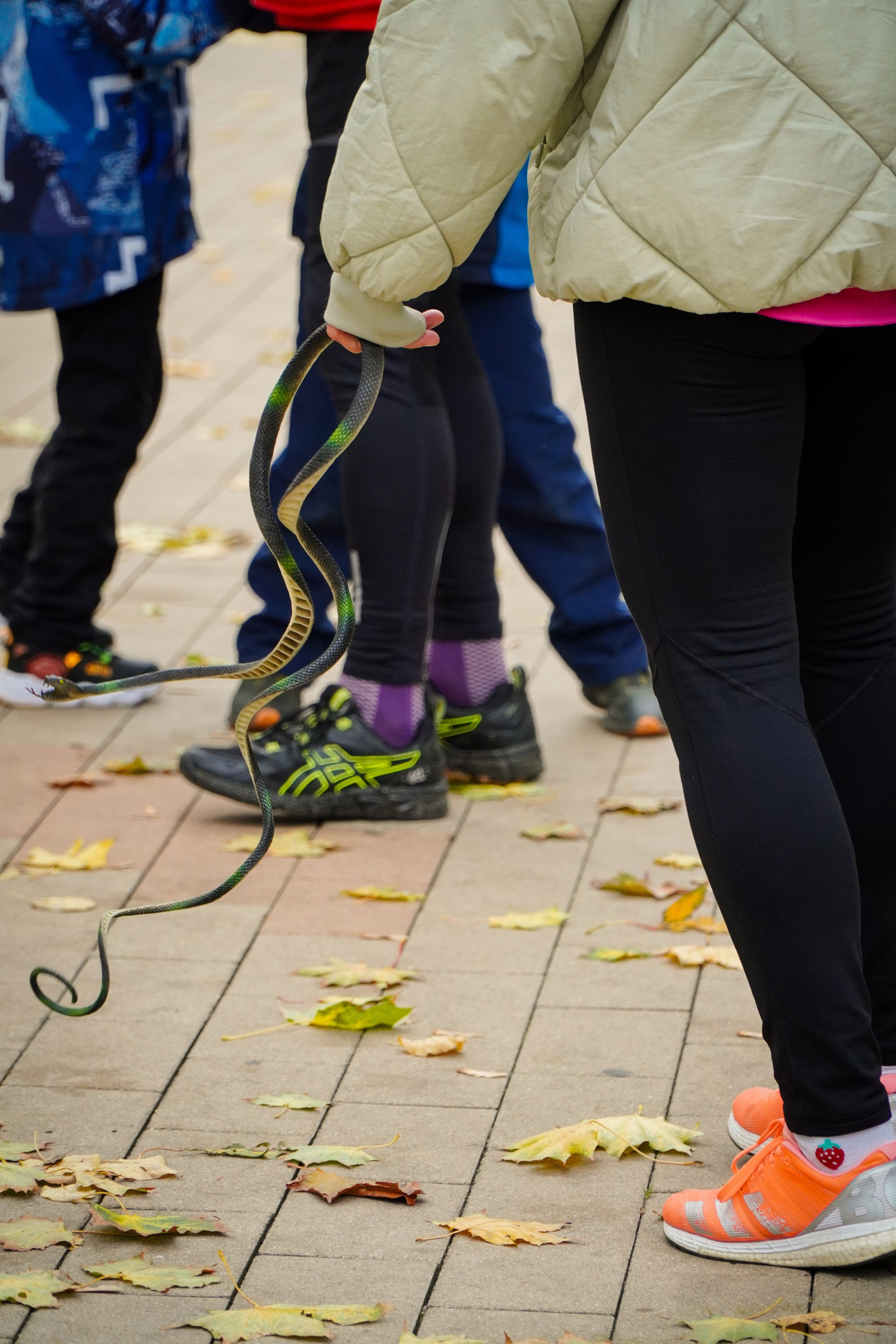 5 вёрст Наташинский 12 октября 2024. Роман Капилюшов. Бег. Фото. Видео. г. Люберцы