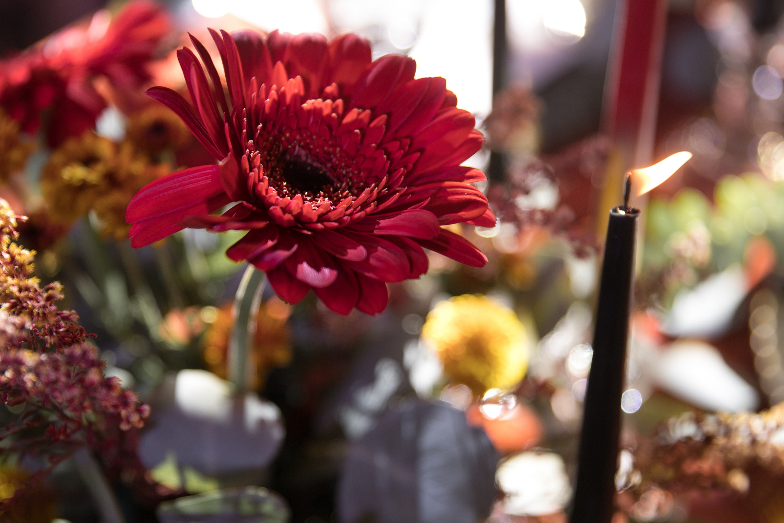 Камерная свадьба. Фотограф Матвеева Татьяна