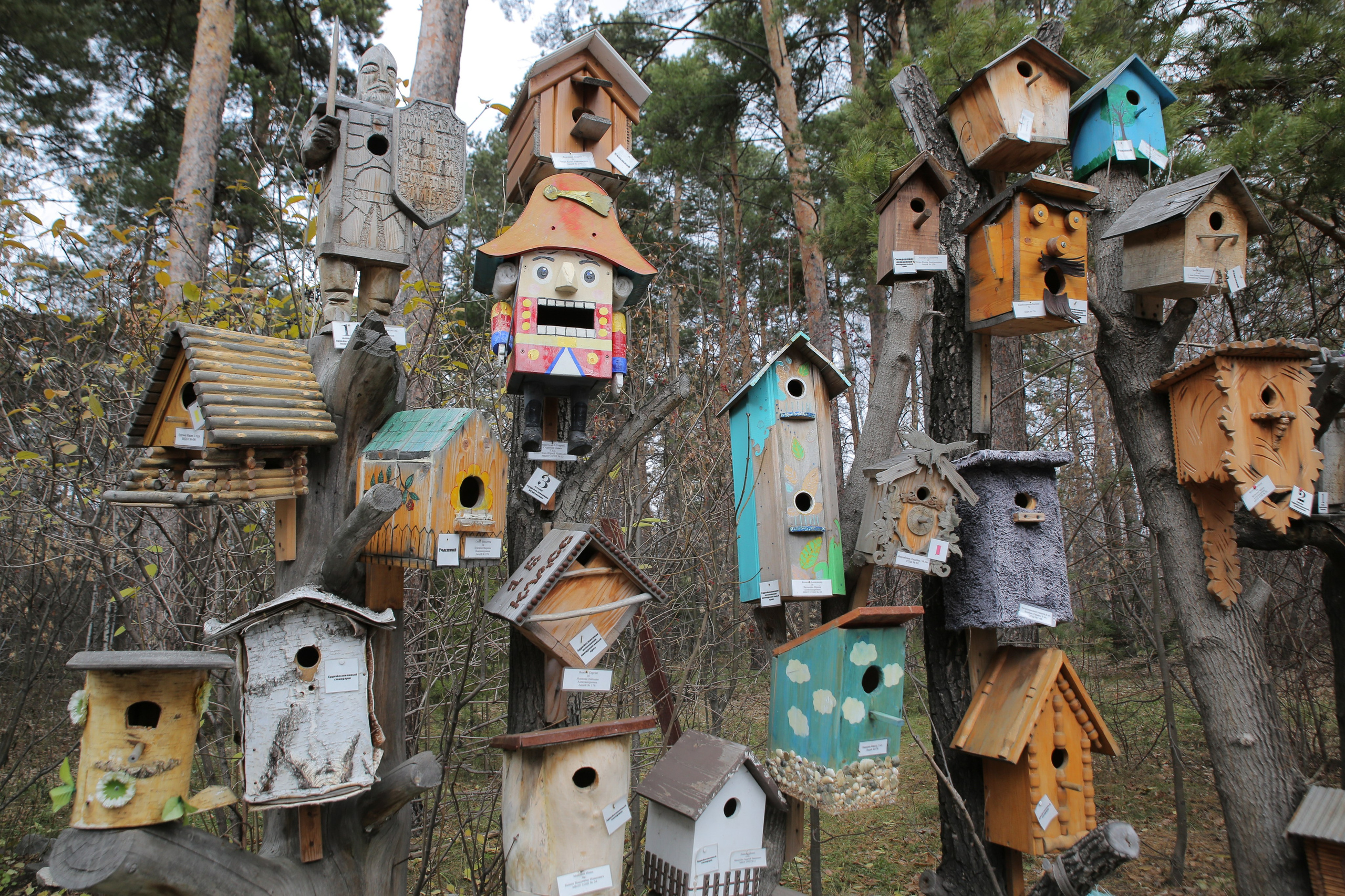 Г. Новосибирск. Студия Максима Белослюдцева