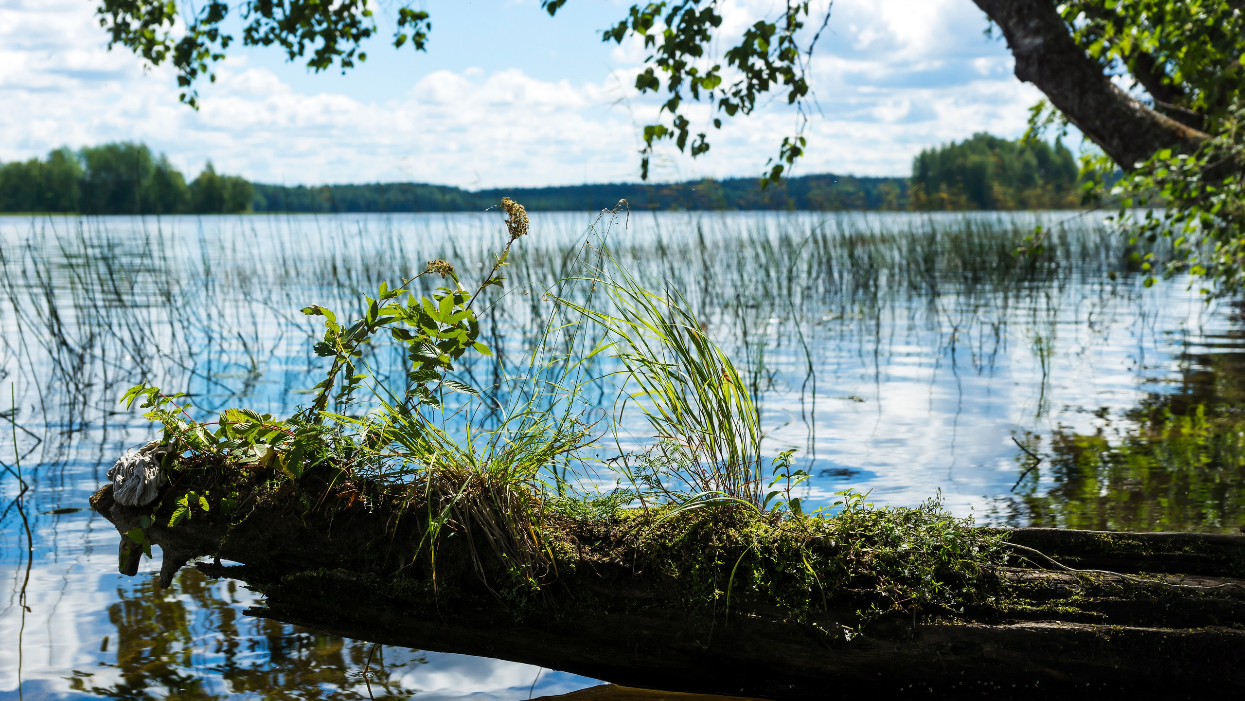 Карелия. Фотограф-путешественник Самойлов Максим «Sly Fox»