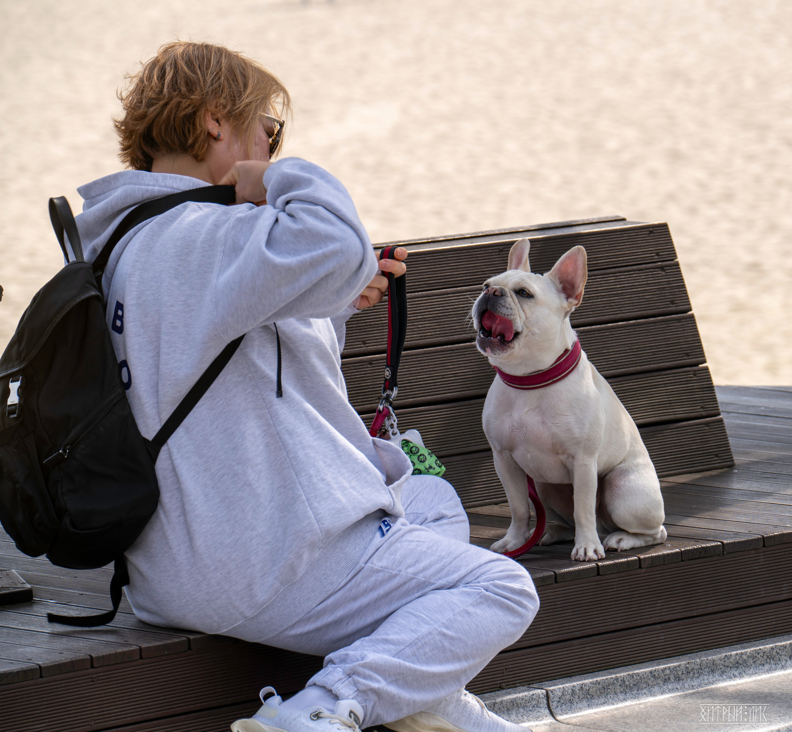 Южная Корея. Фотограф-путешественник Самойлов Максим «Sly Fox»
