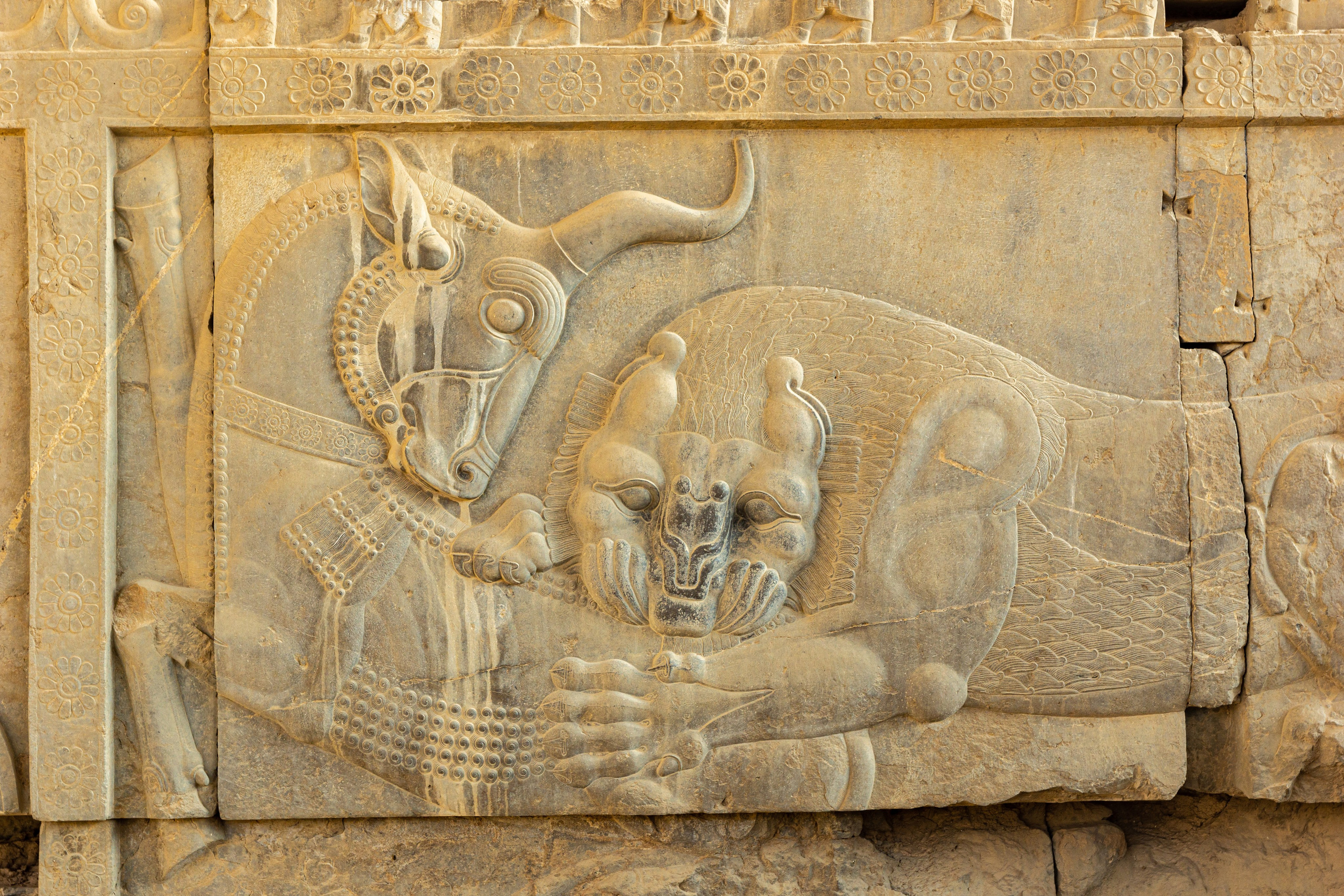 Иран. Фотограф-путешественник Самойлов Максим «Sly Fox»