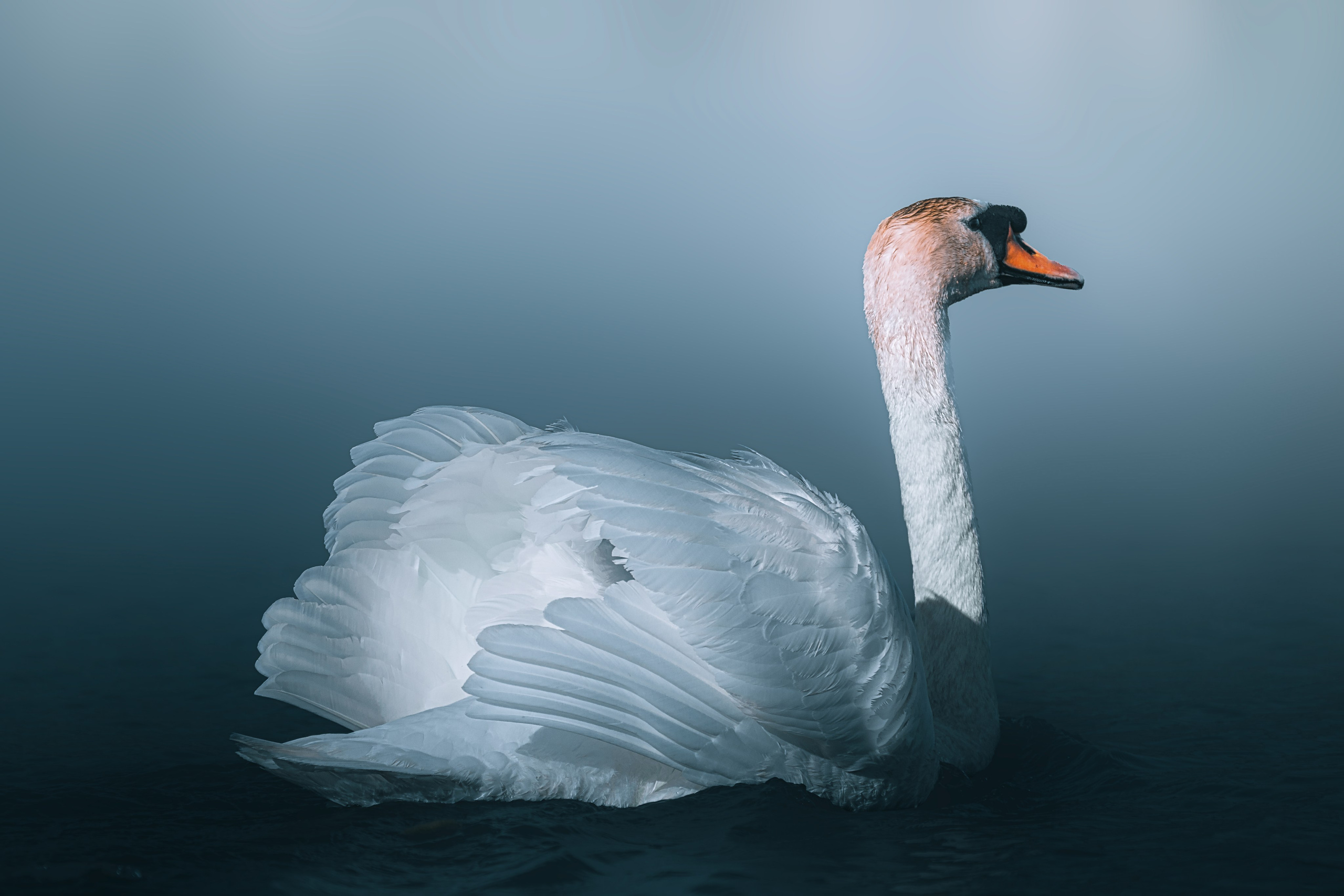 Астраханская область 2025 | Фотограф Дмитрий Купрацевич. Дмитрий Купрацевич профессиональный пейзажный и travel-фотограф