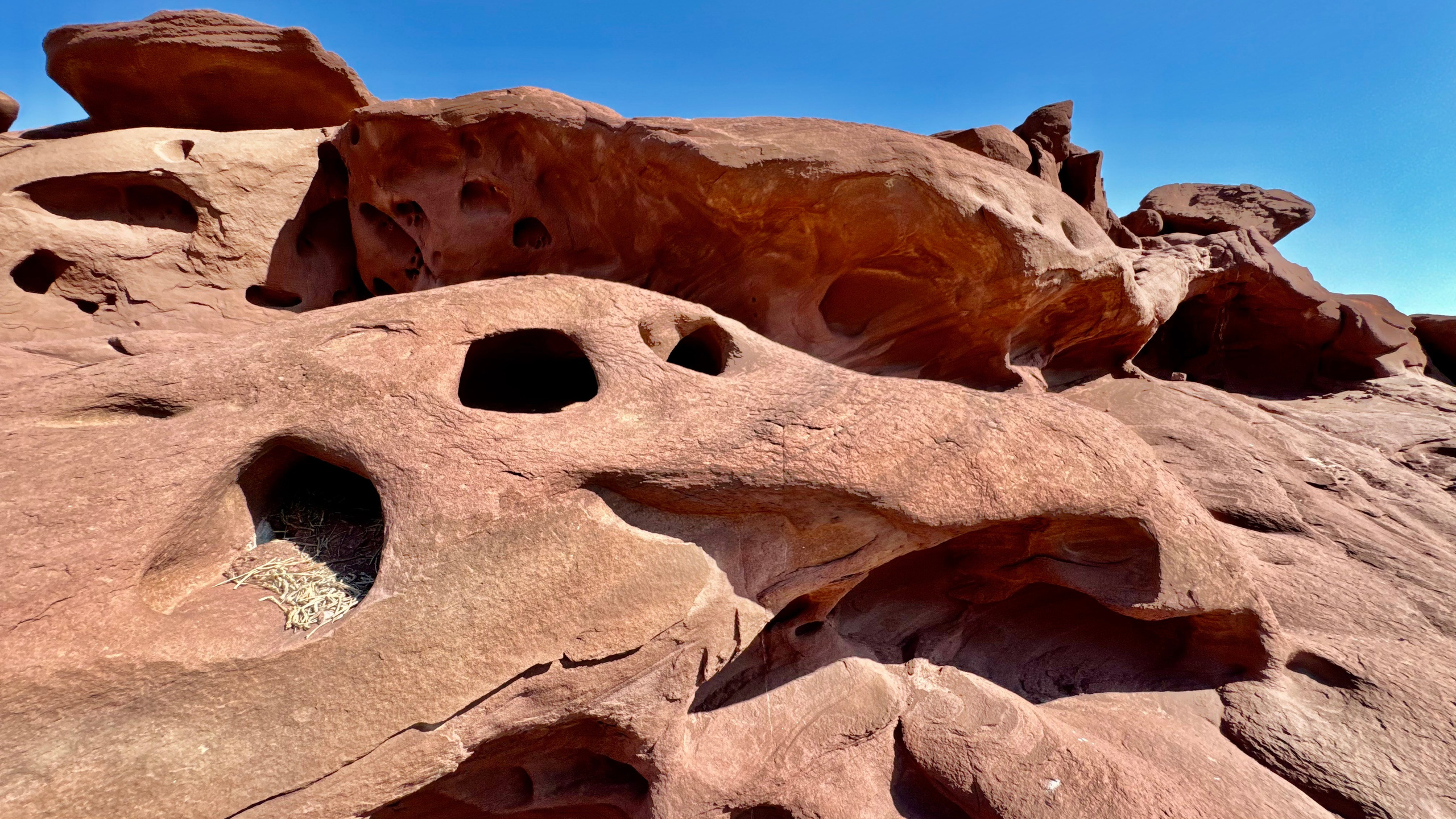 Алтын Эмель. Экскурсии и туры по Алматы