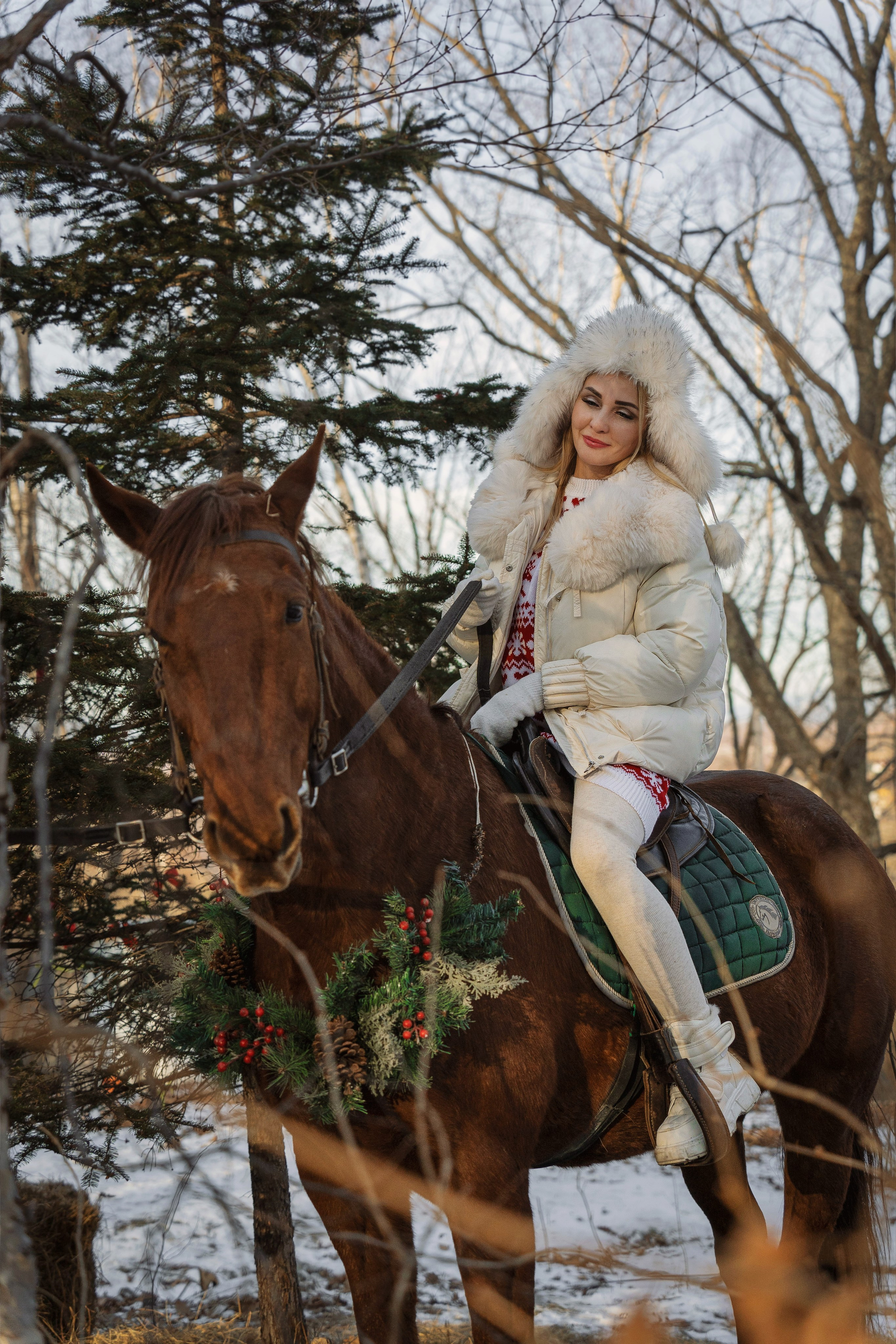 Фотодень «Символ 2026 года». Семейный фотограф анималист г. Находка
