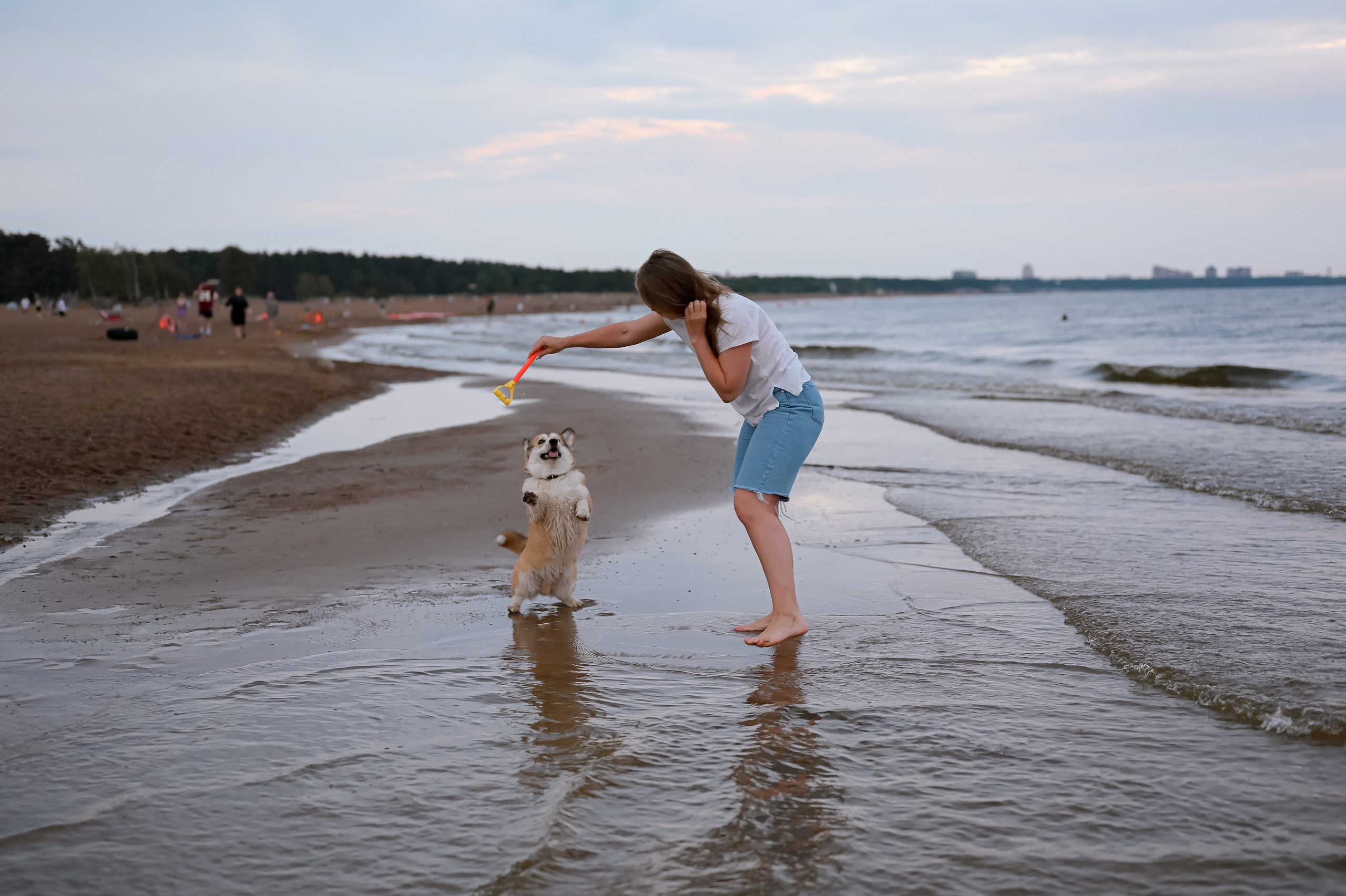 На побережье. ZDARONOKIA Репортажный фотограф