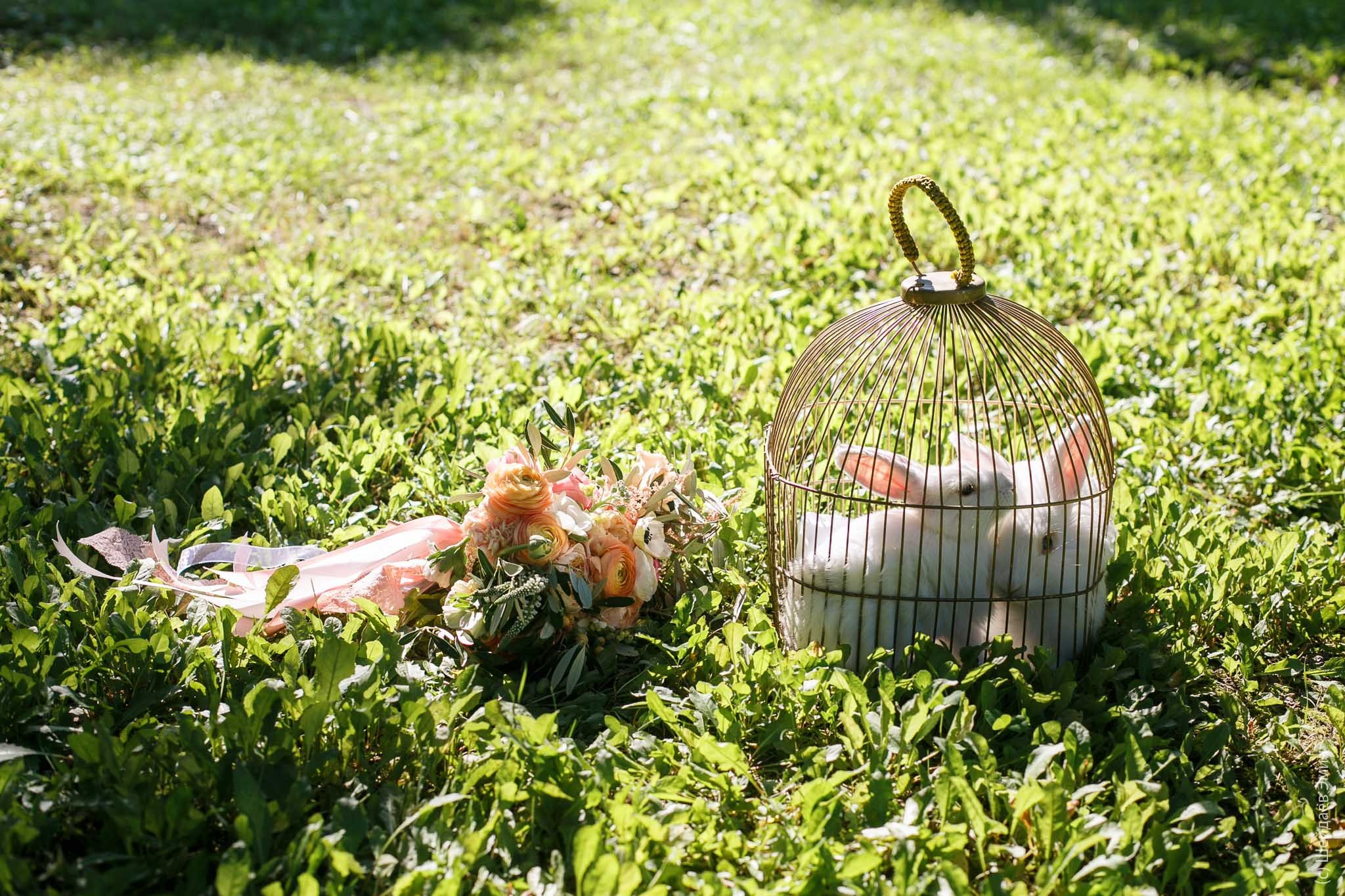 Свадебное портфолио. Фотограф Шейдаев Эмин г. Волгоград