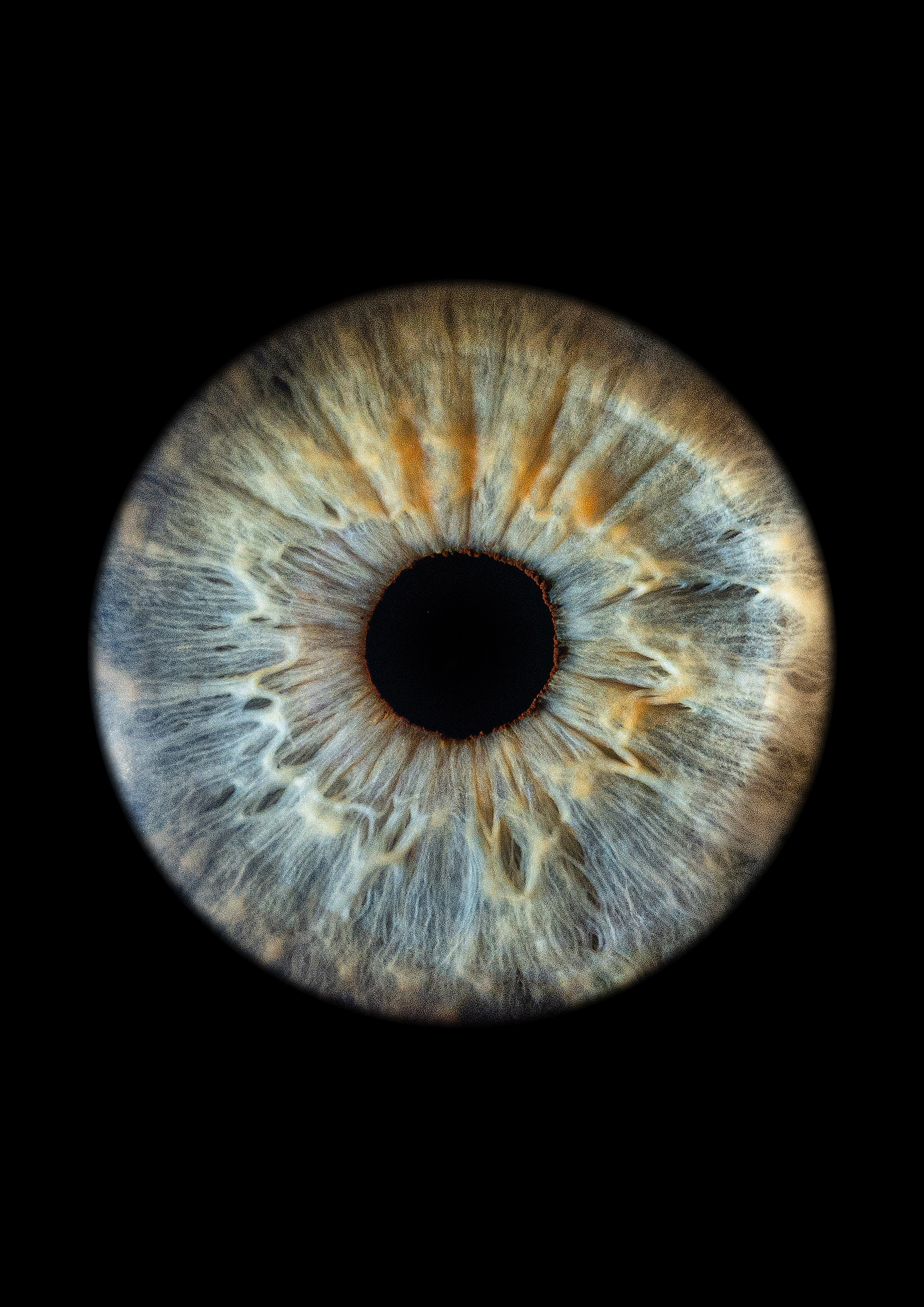 Примеры работ. Мой глаз