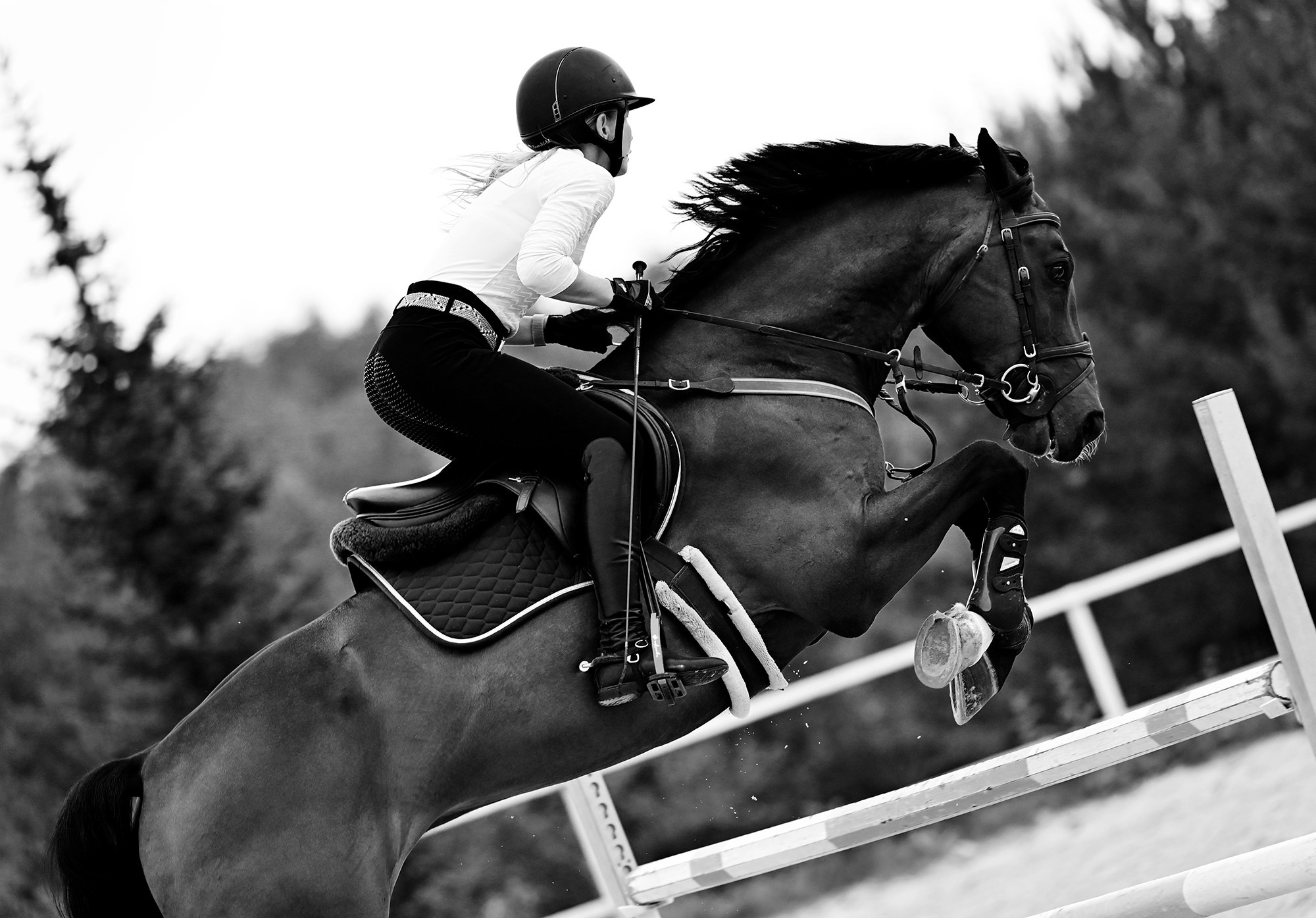 Тренировки. Конный фотограф Alesya Safe