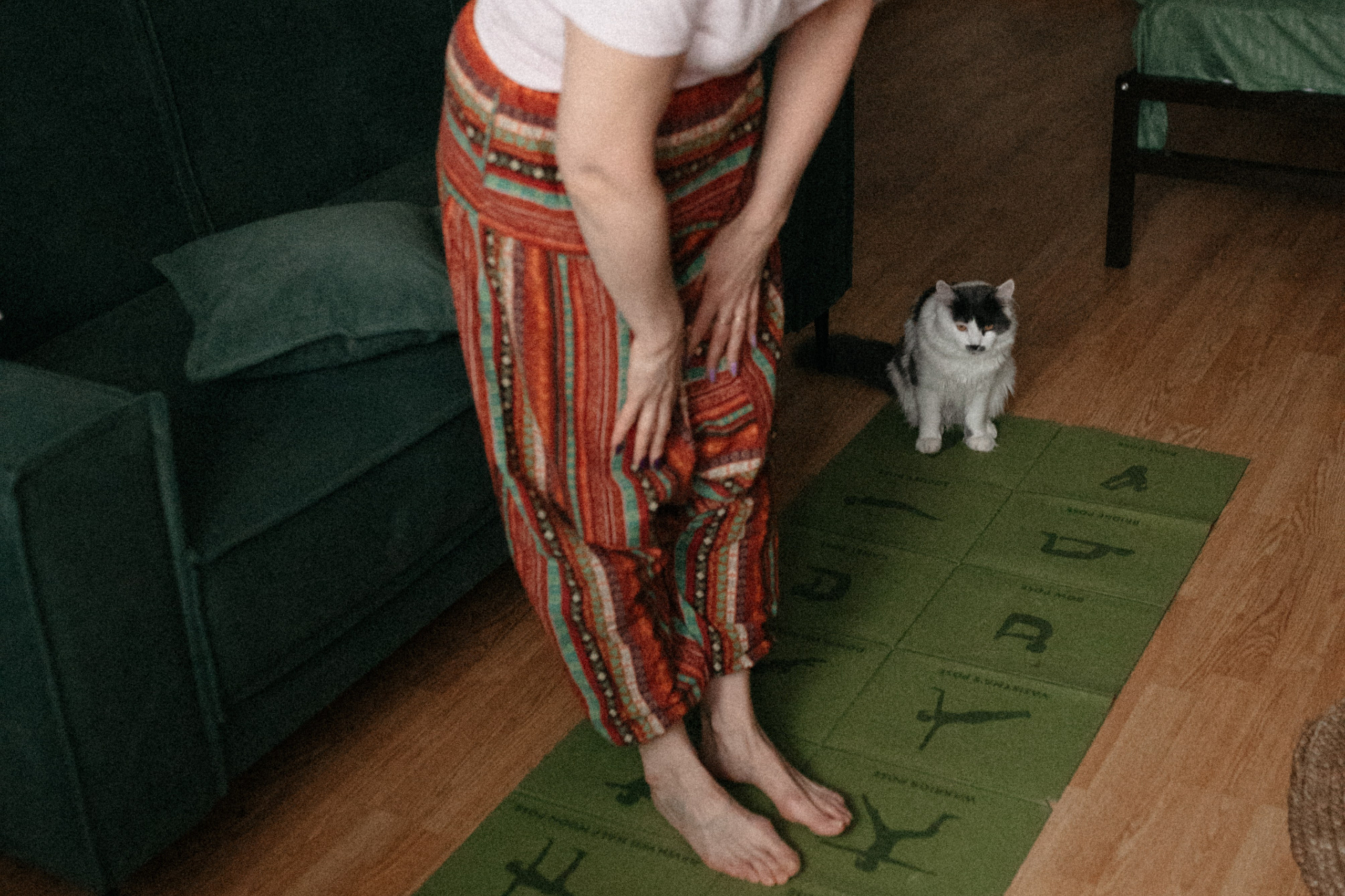 Оля и её меховая банда. Фотограф анималист в Москве Ольга Агушева