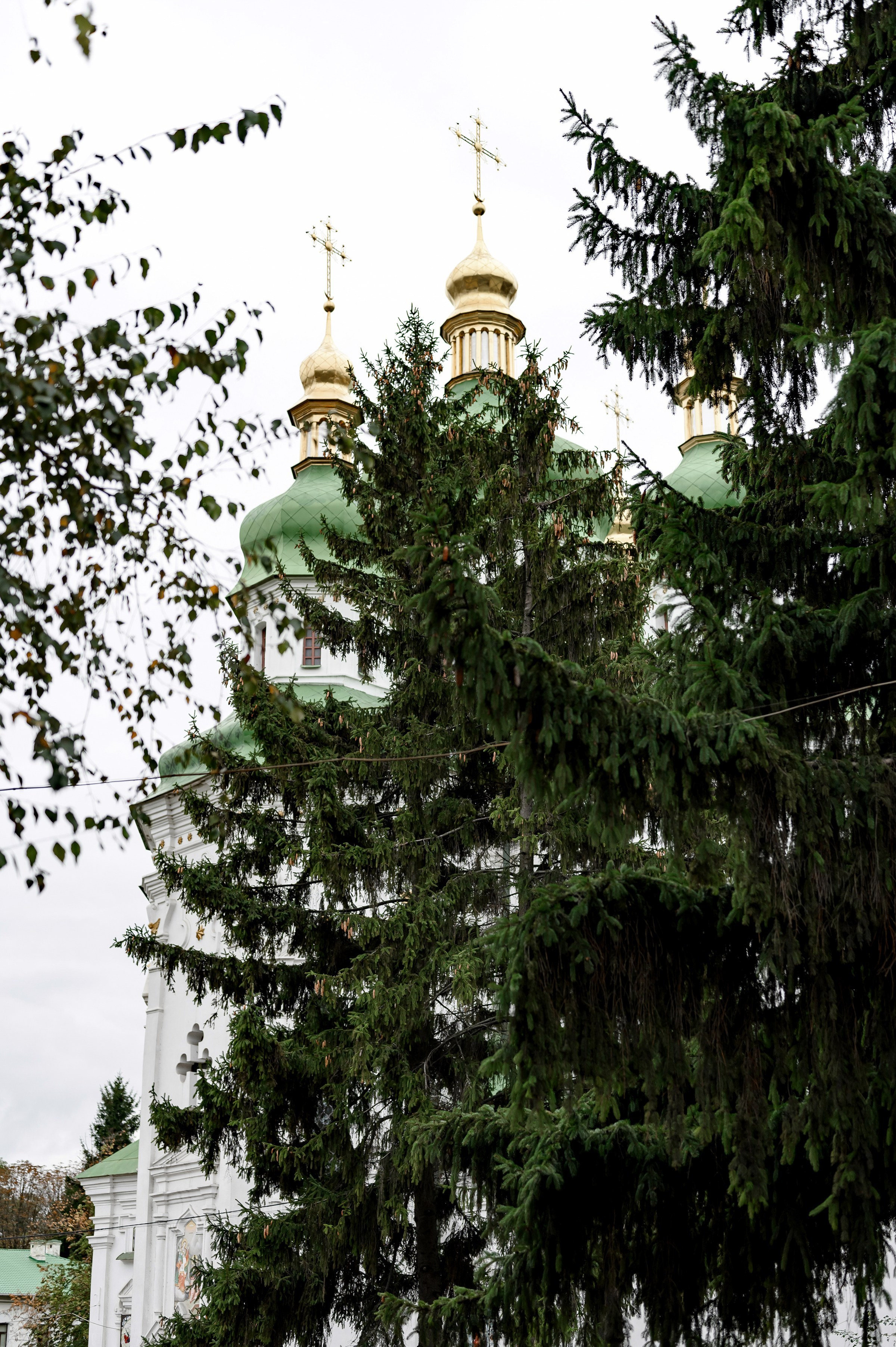 Дмитрий & Ольга. Москва, видеосъёмка, фотосъёмка, свадебный клип, фильм 4К media production