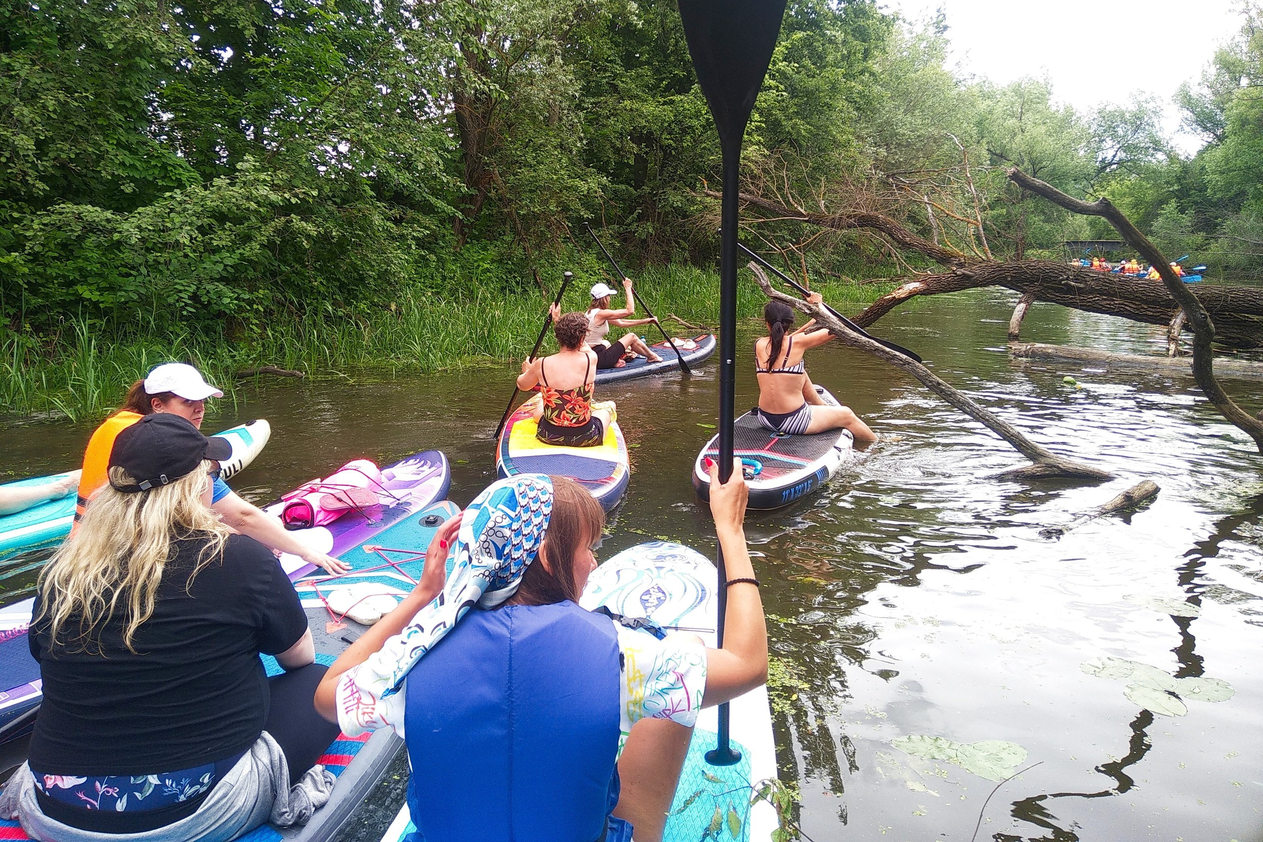 Сплав на сапах | 16.06.2024. Галерея Фантим